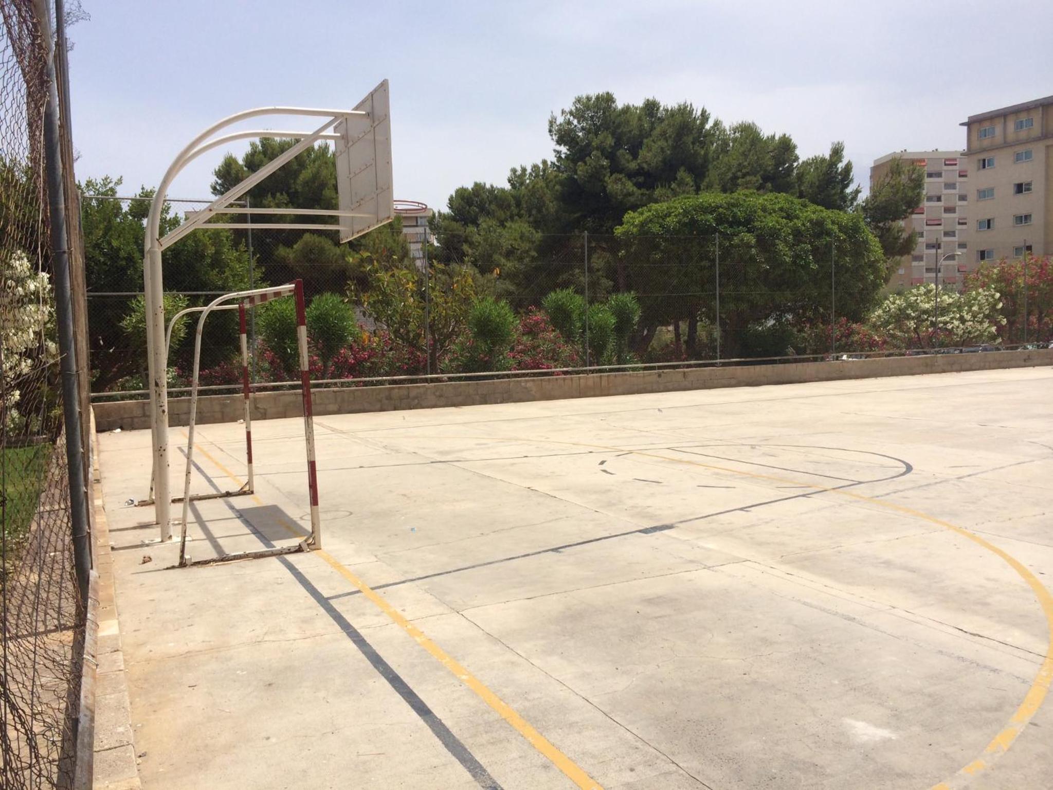 Photo 8