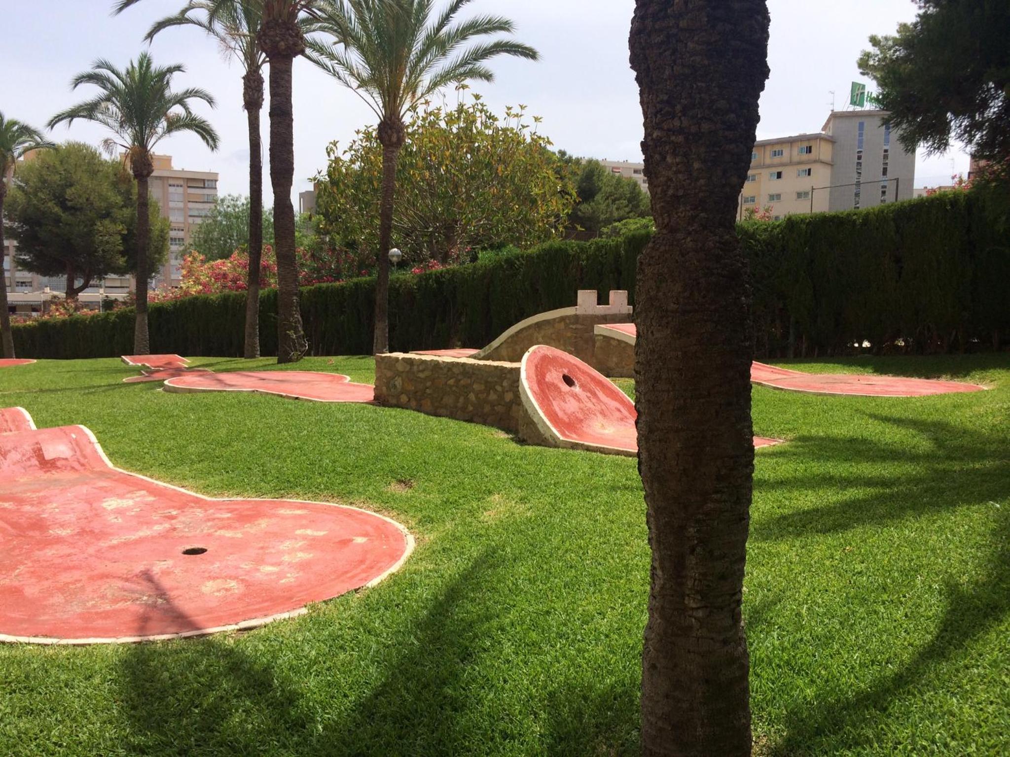 Photo 11
