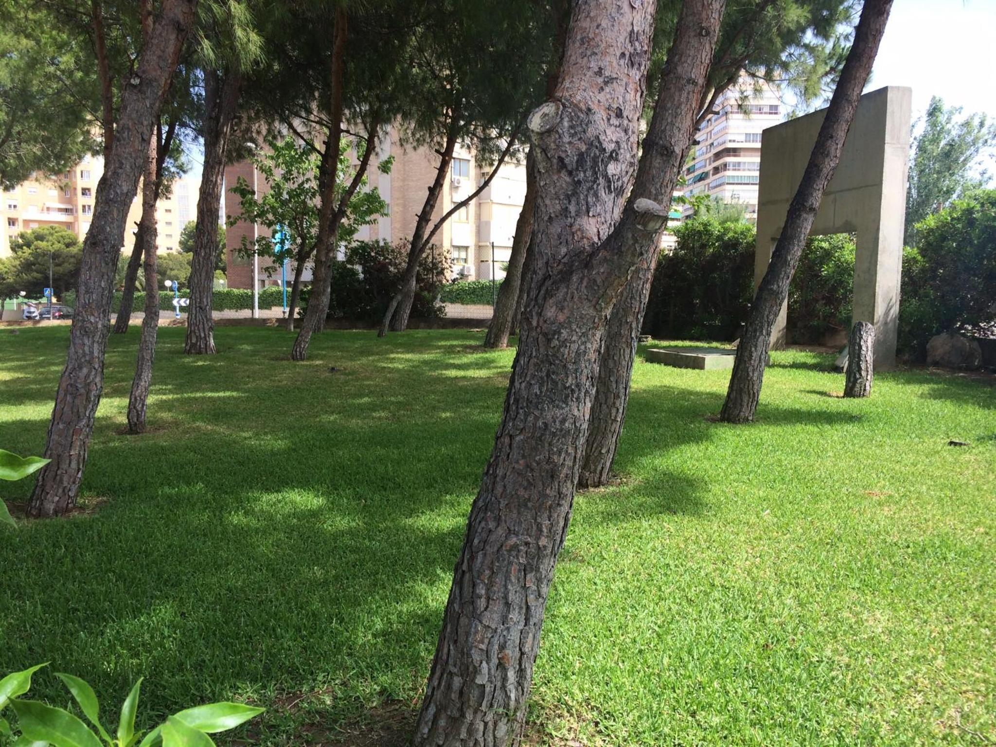 Photo 12