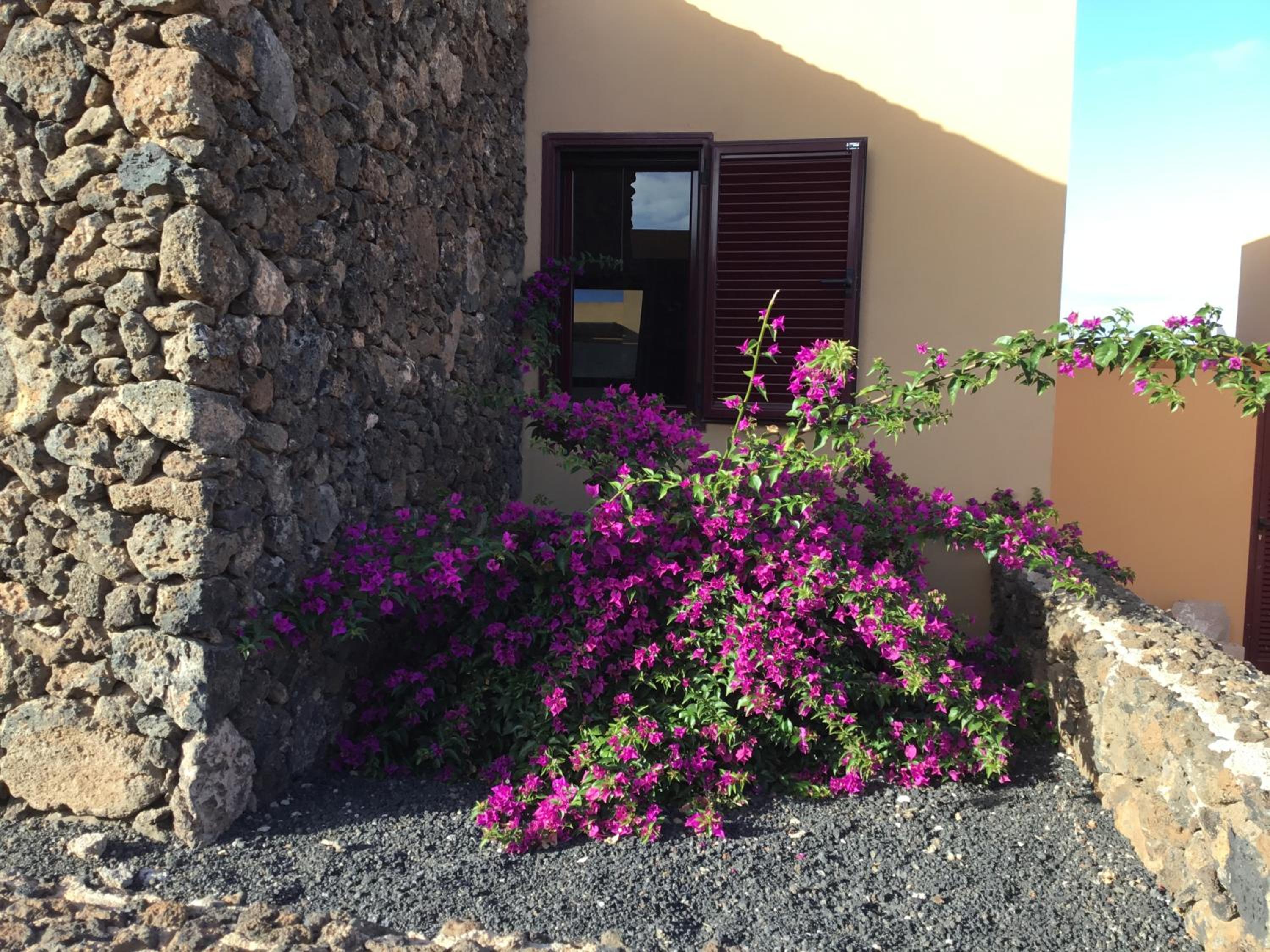 Casa Fard view 3