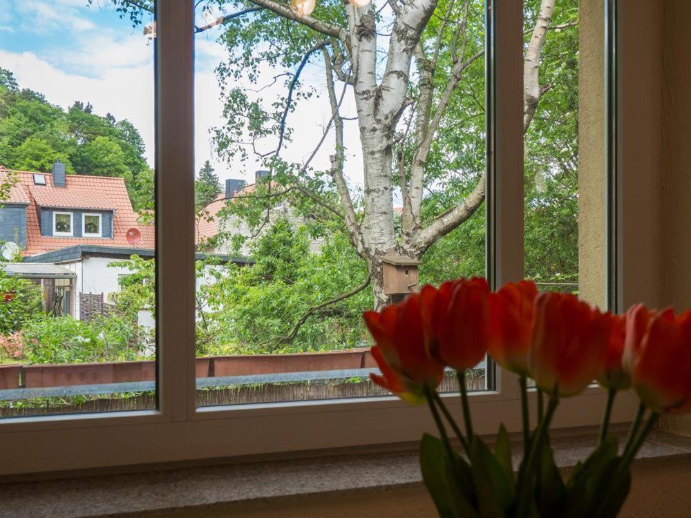 Ferienhaus Holtemme in Wernigerode en Wernigerode