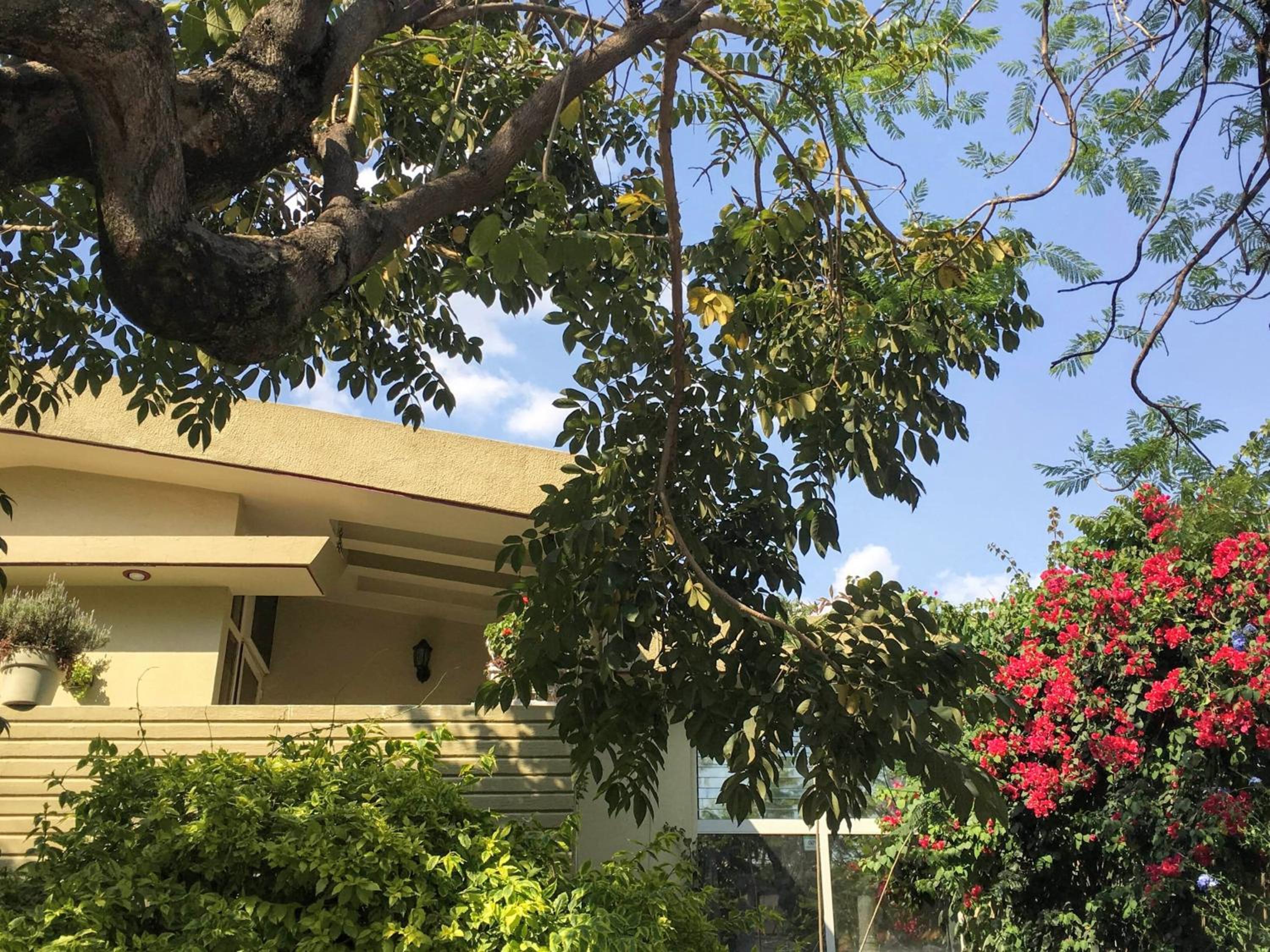 Dickinson Guest House, Guadalajara Expo
