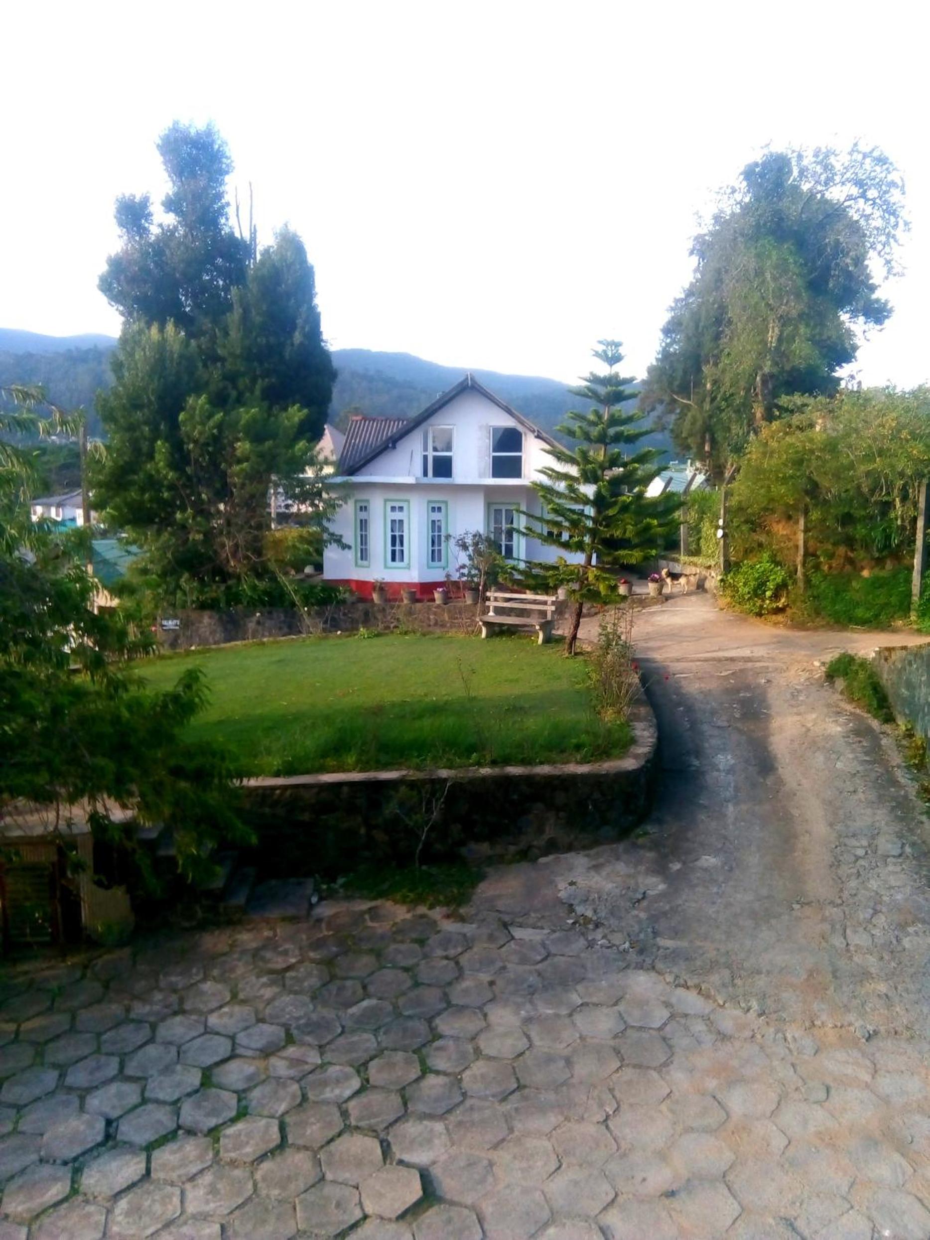 Photo 35