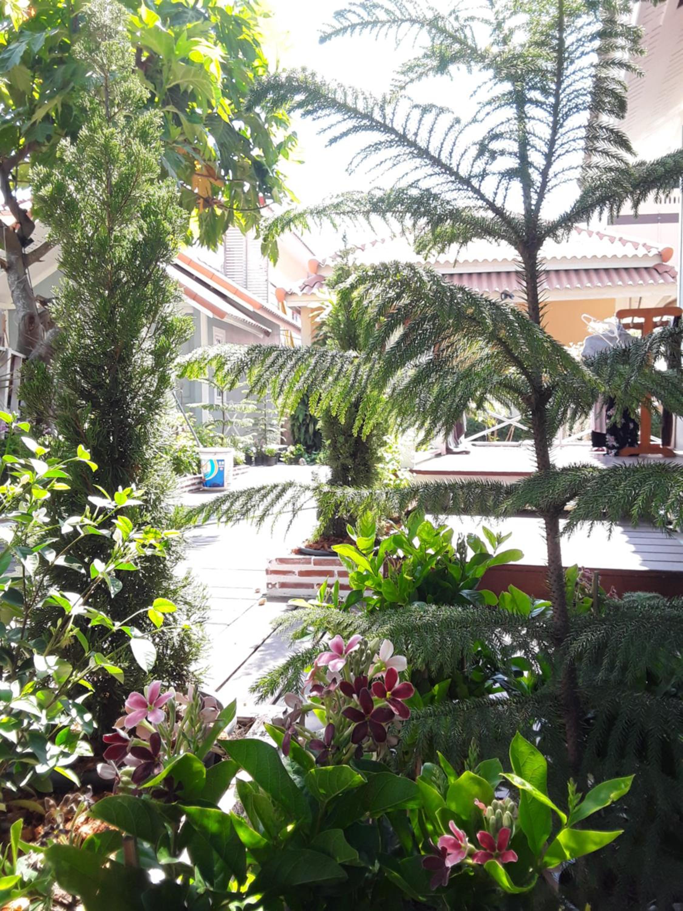 Barbados Terrace
