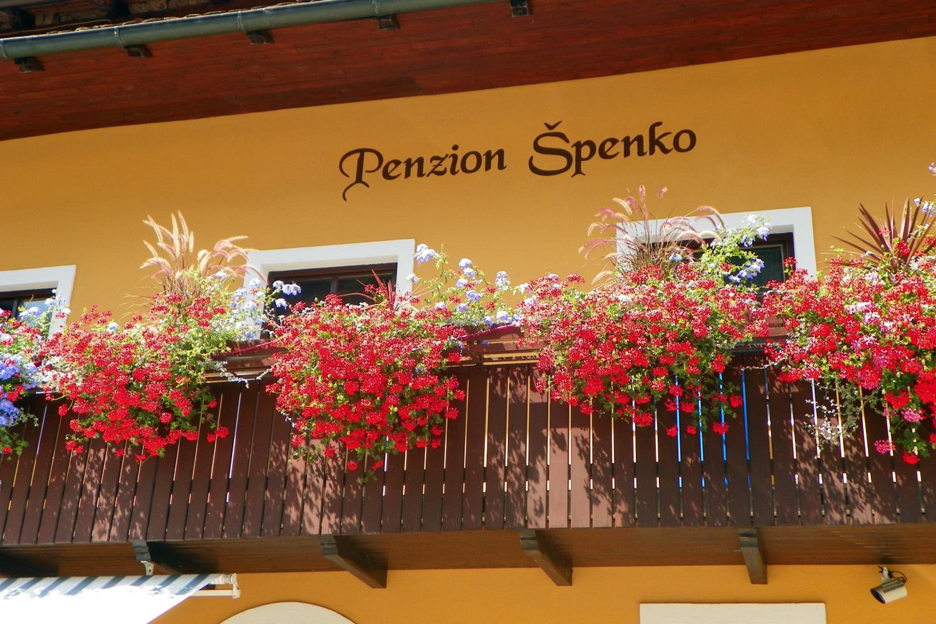 Guesthouse Špenko