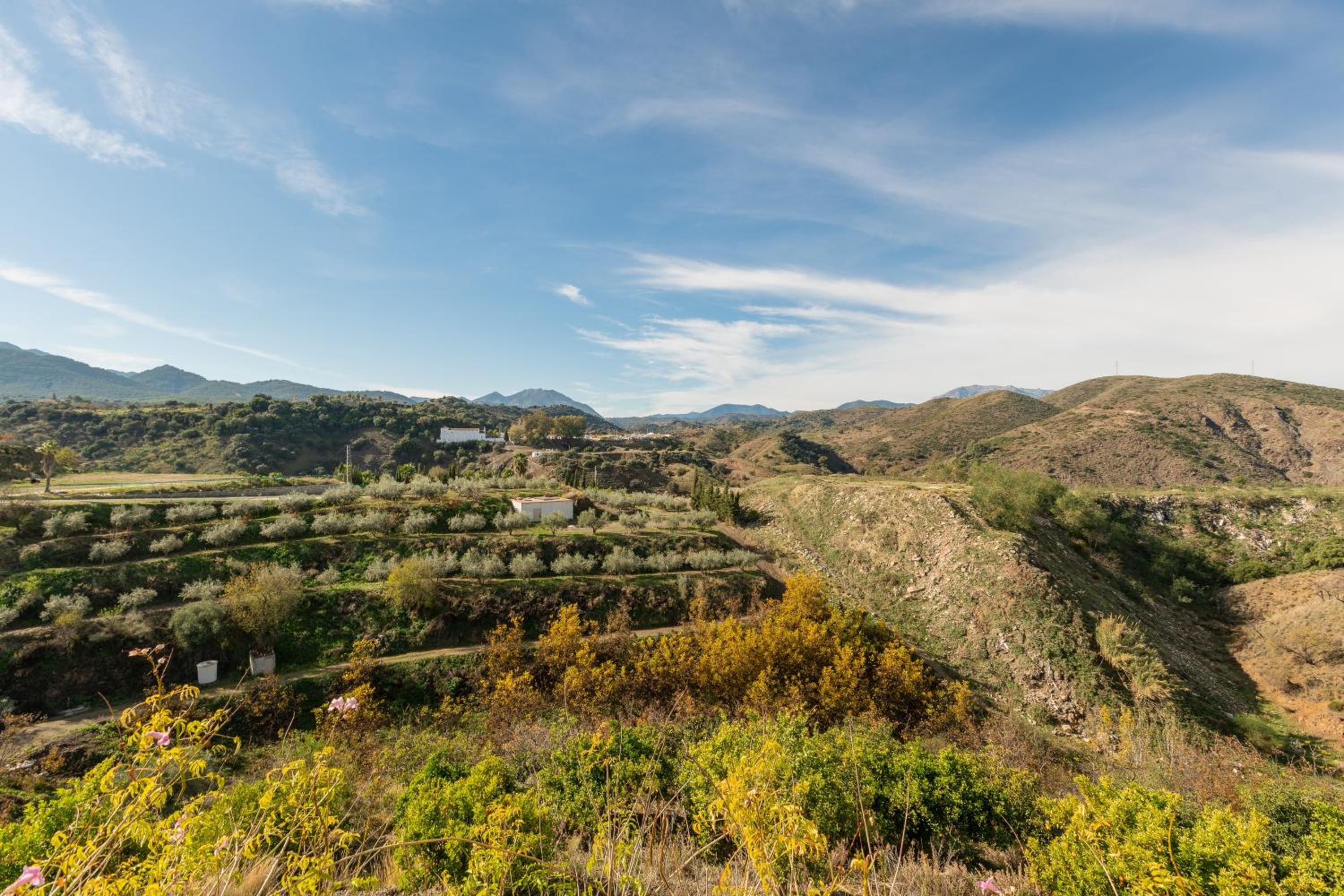 Chalet andaluz Los Alberos view 4