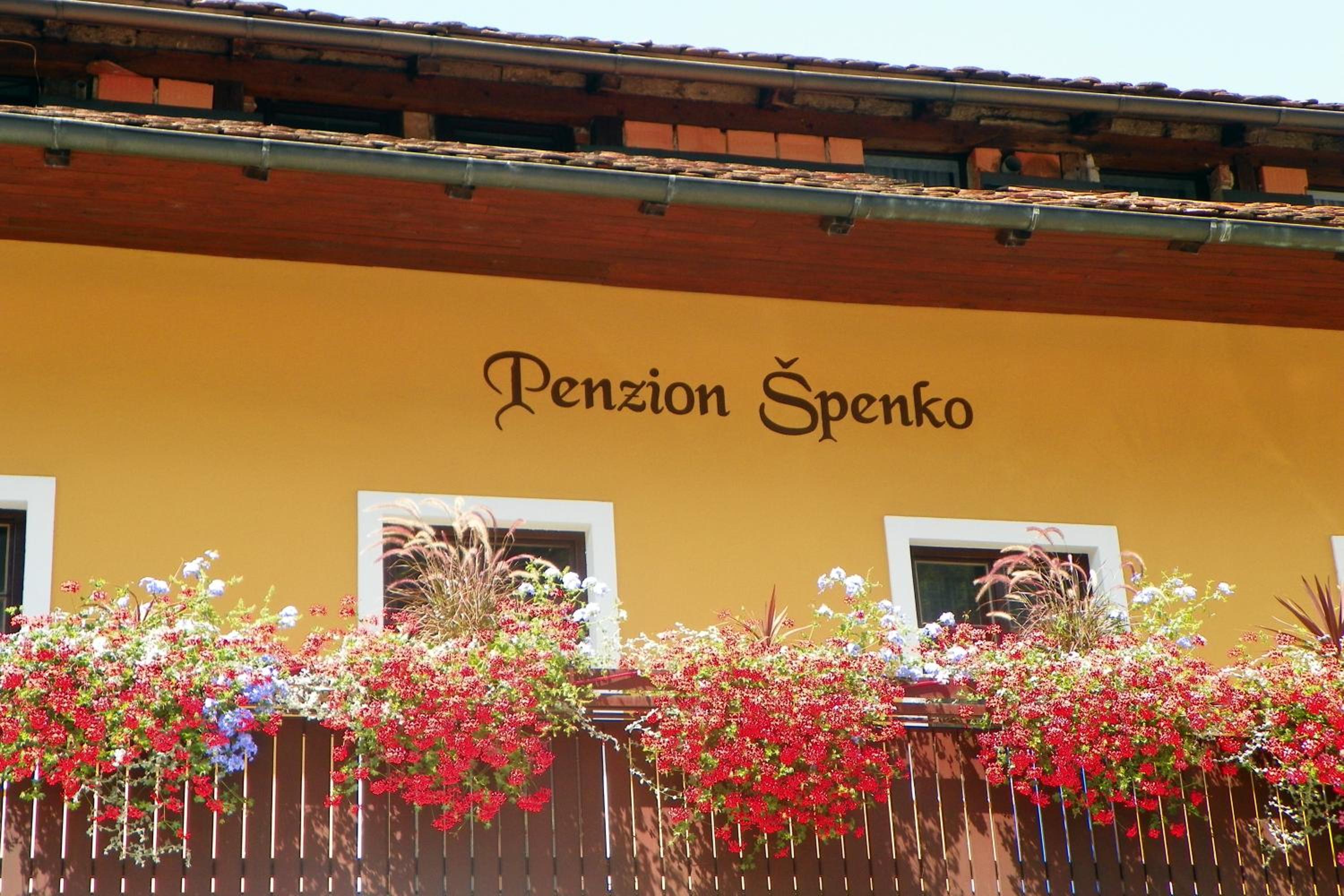 Guesthouse Špenko