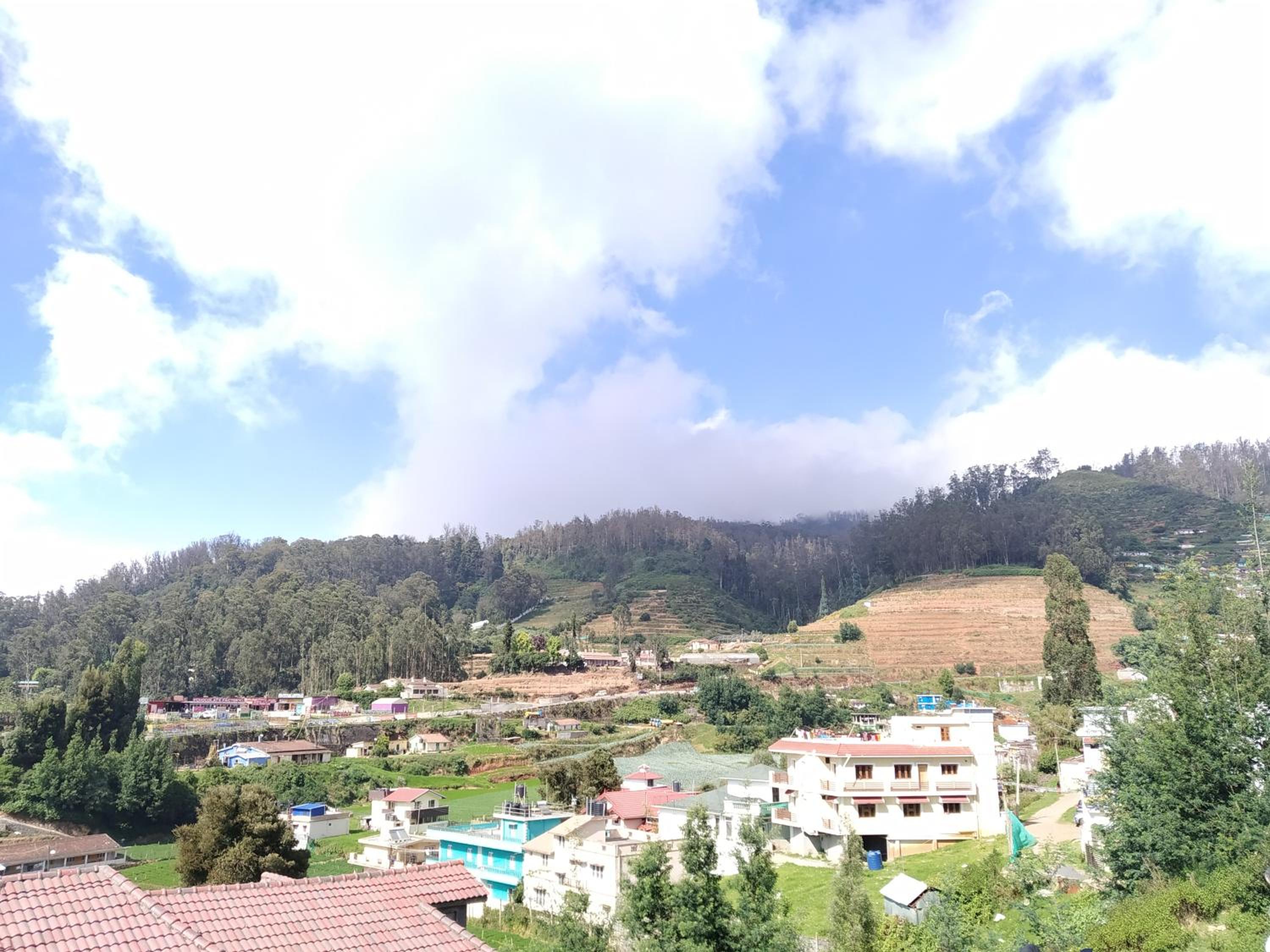 A Ooty Honey Huts