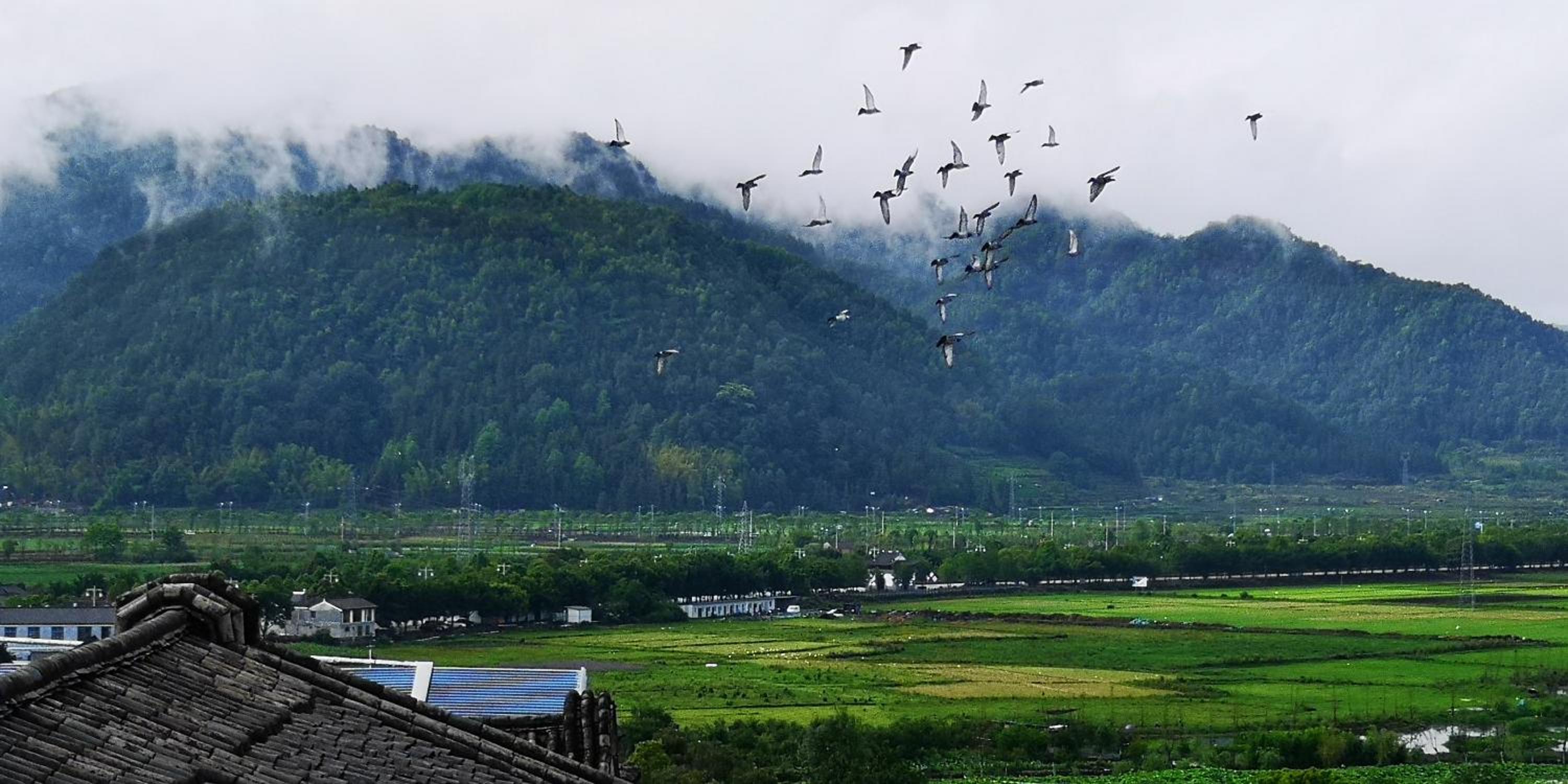 Shan Ju Qiu Ming Floral Hotel in Tengchong 花筑 腾冲山居秋暝精品客栈