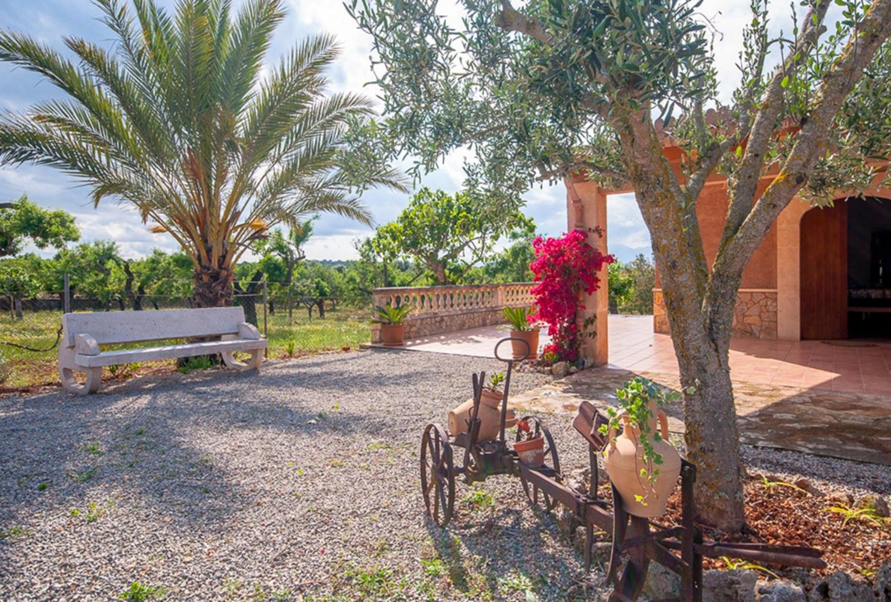 Finca Caseta Son Morro photo 3