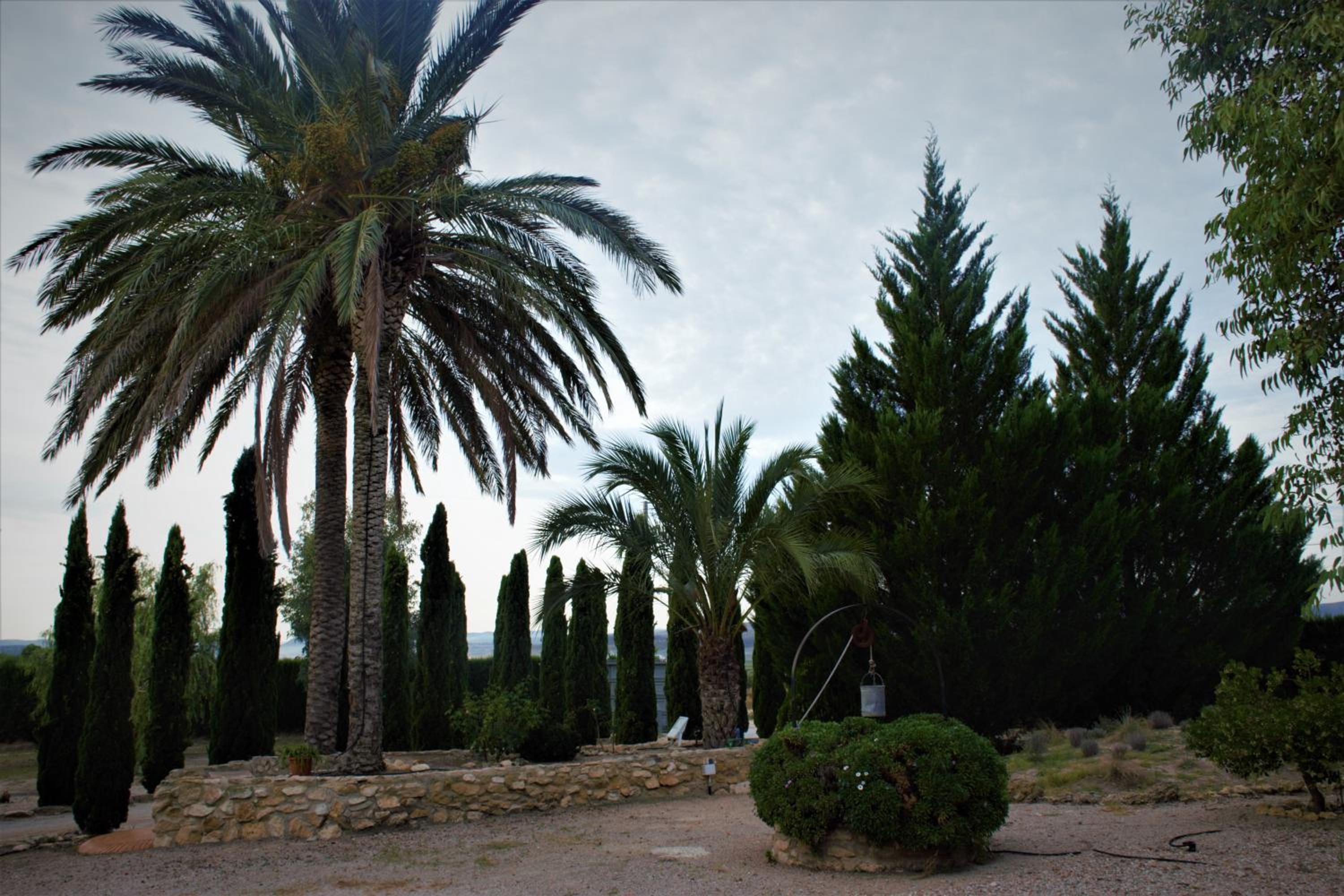 Photo 35