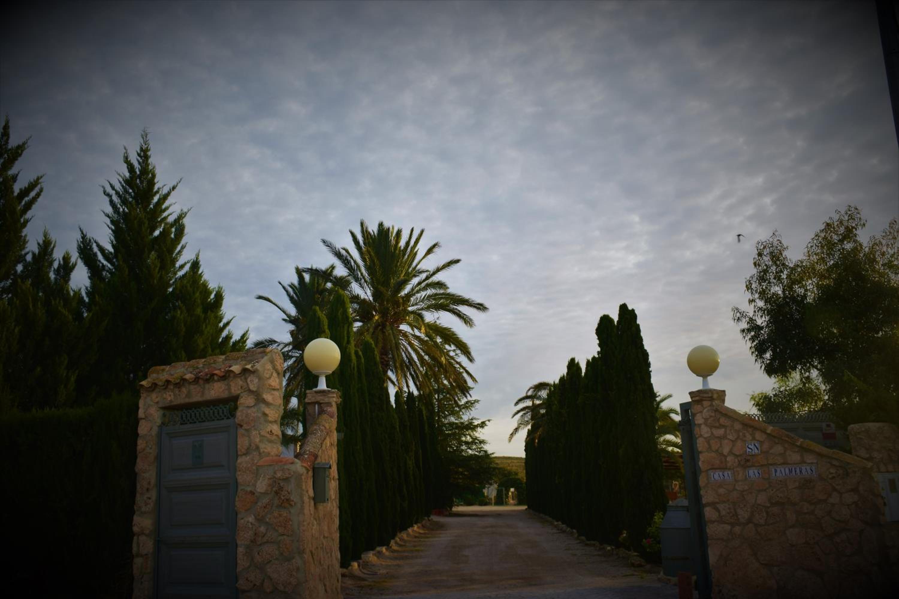 Photo 30