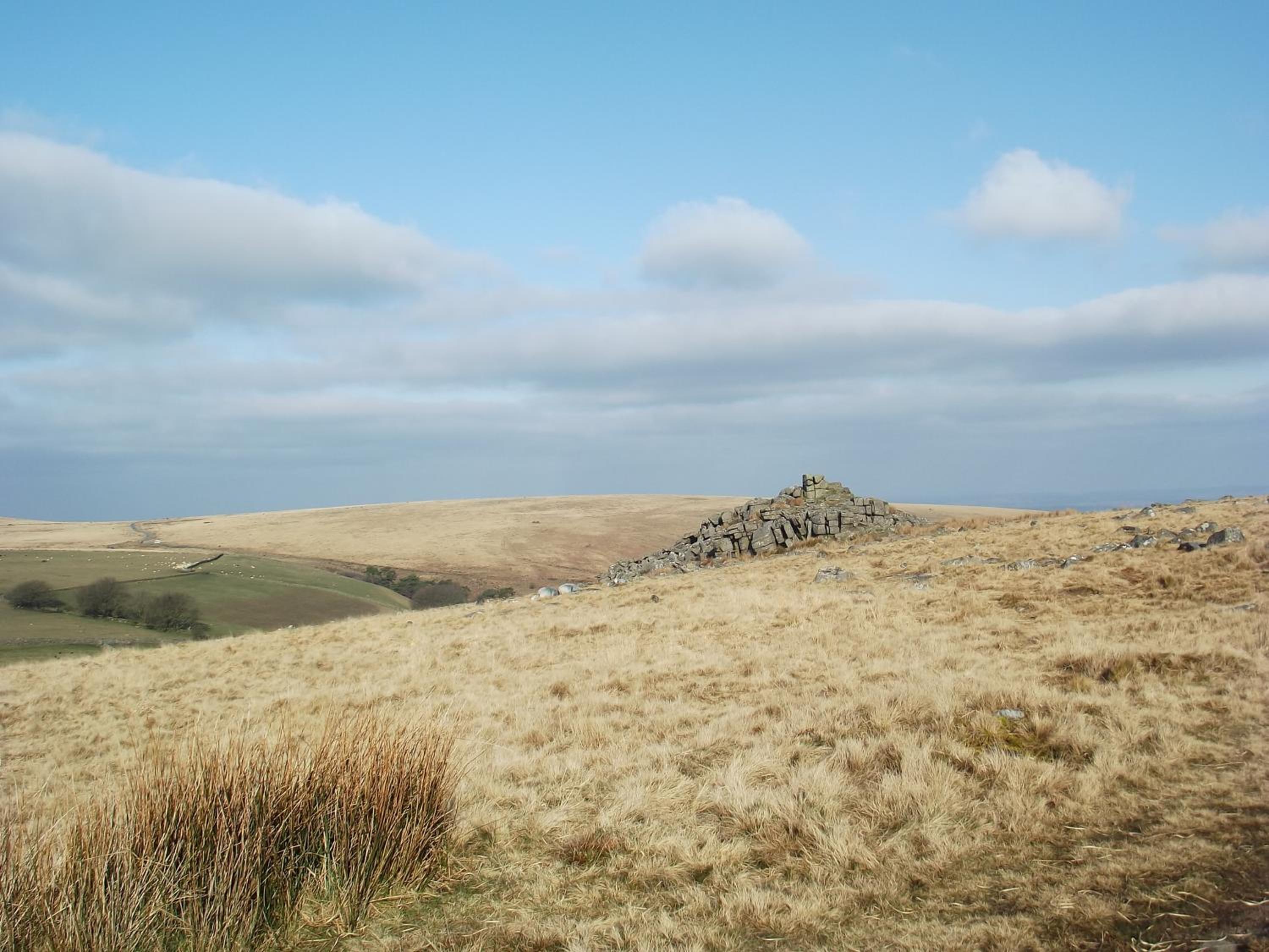 Photo 20