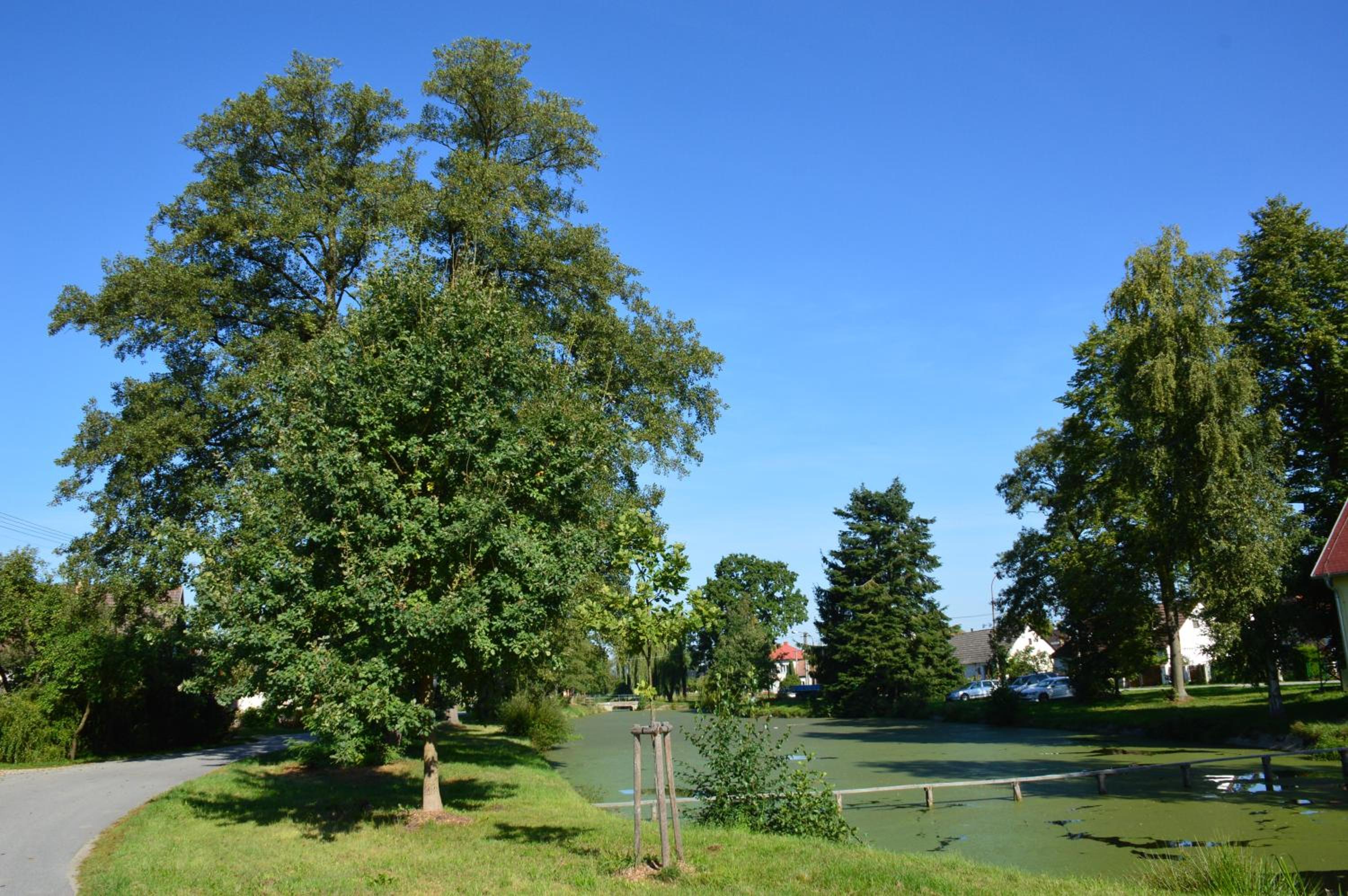 Penzion U podkováře