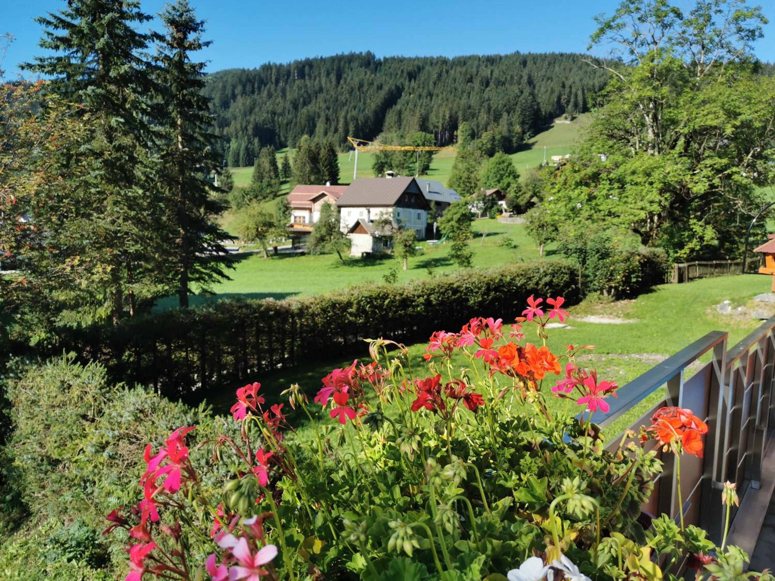 appartementen Haus Bergblick view 3