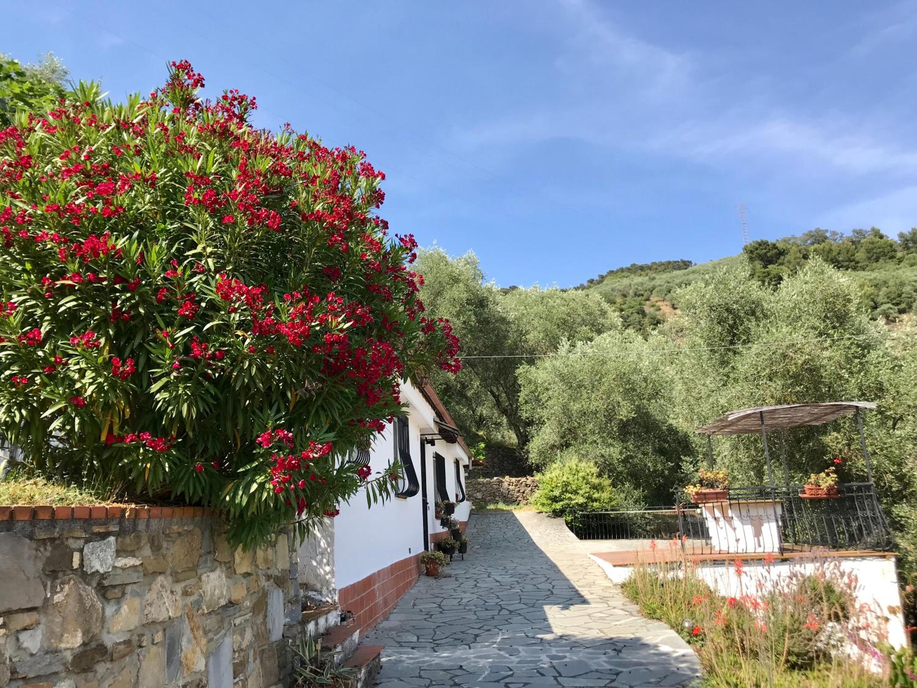 Casa Uliveto view 2