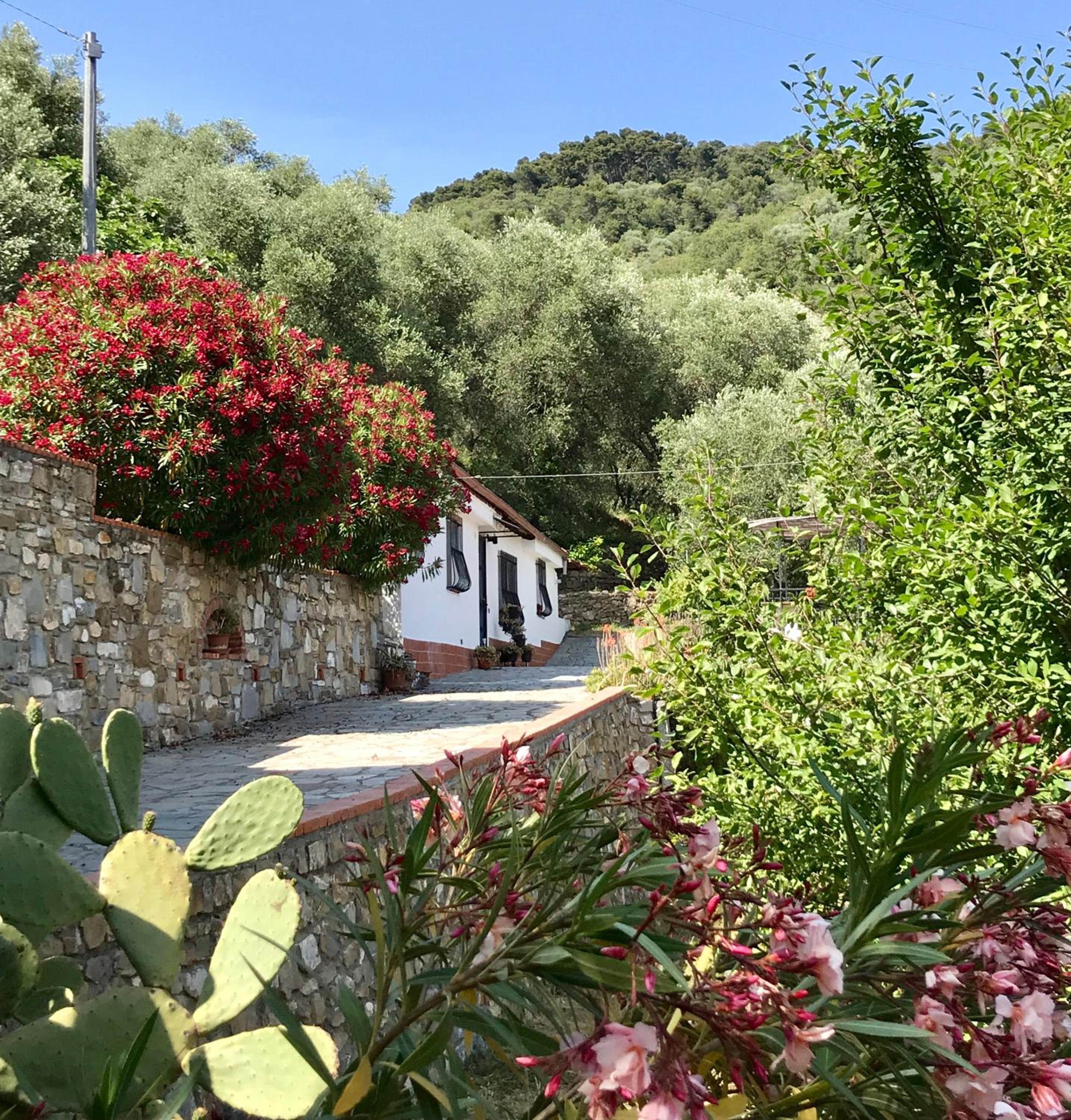 Casa Uliveto view 5
