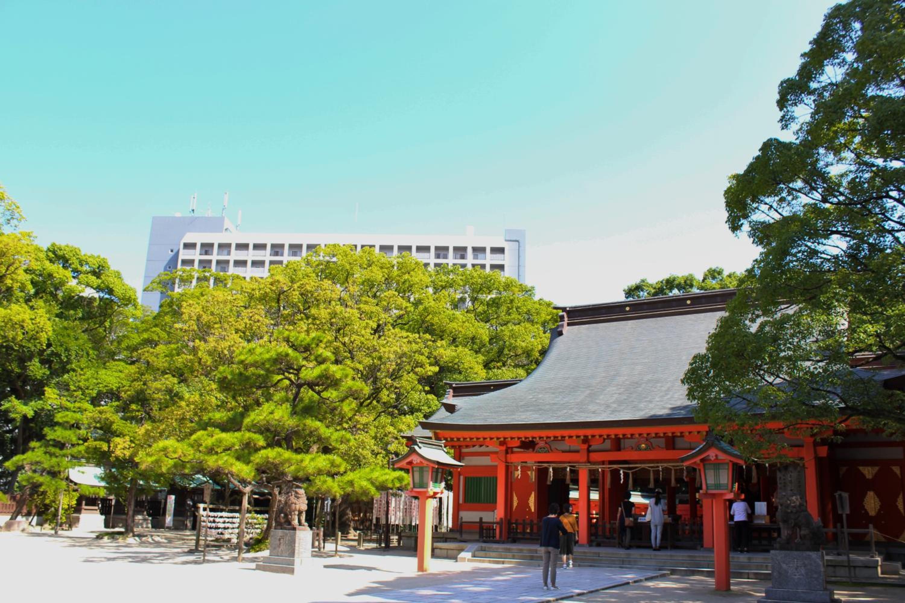 Hostel TOKI