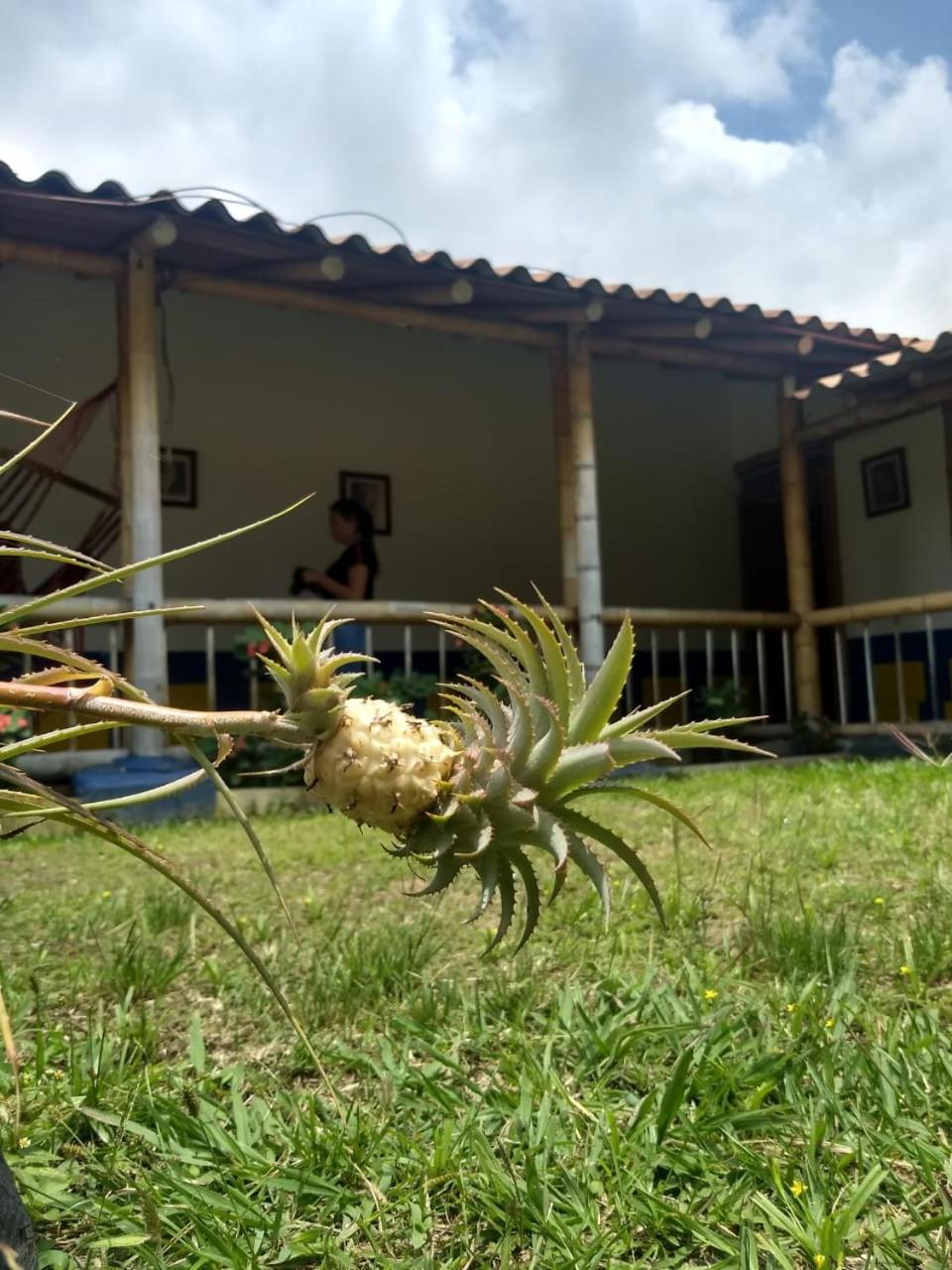 Finca Hotel La Esmeralda Casa 2