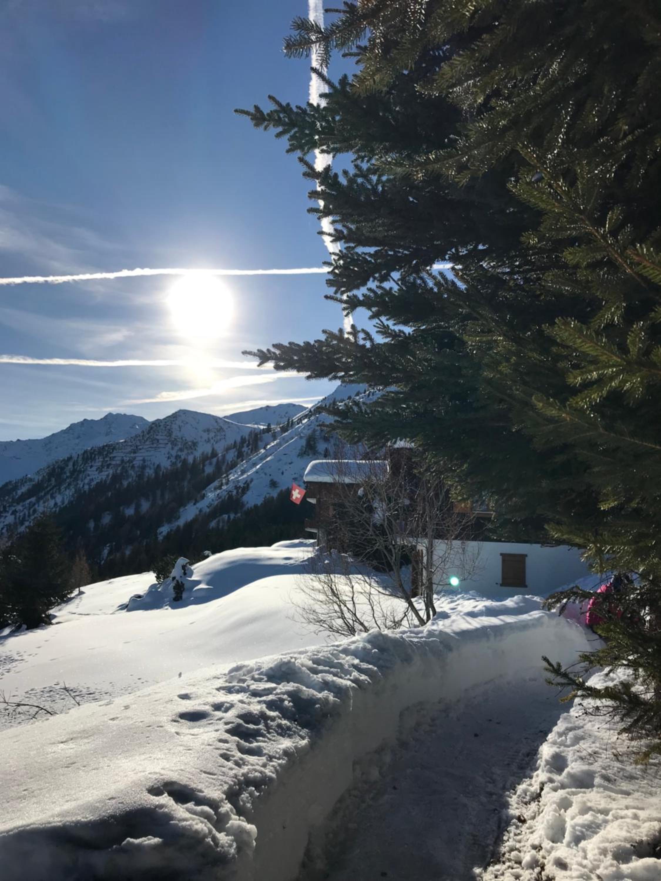 Chalet Michele Alpage