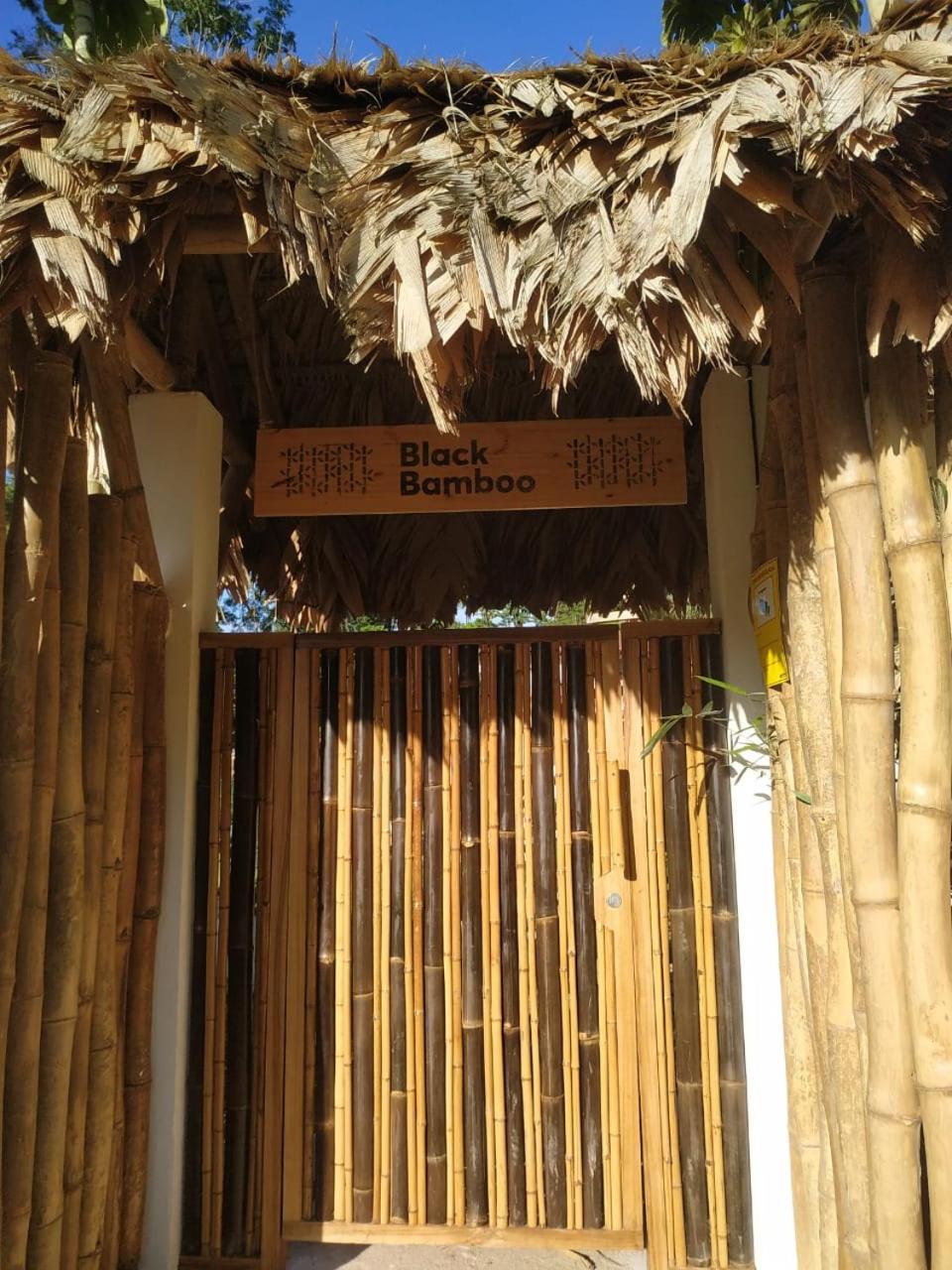Black Bamboo