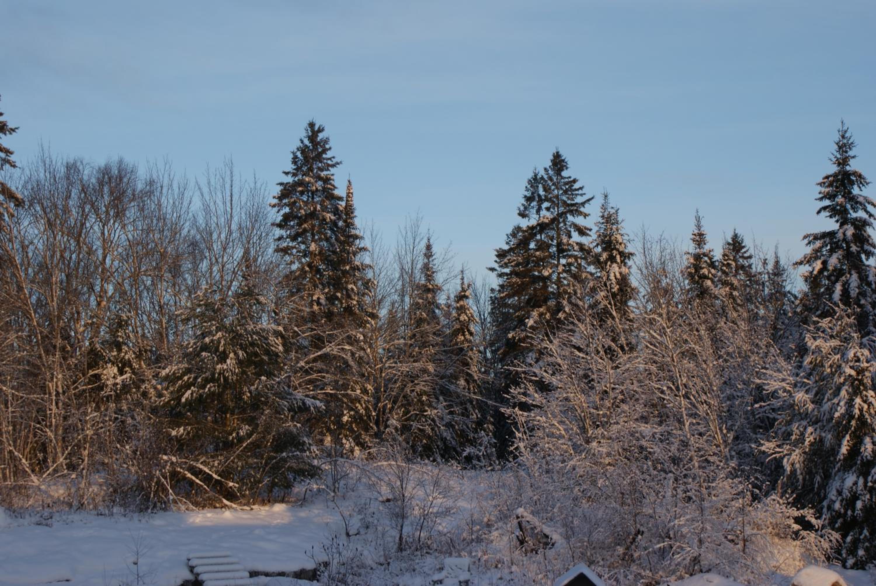 Top of Algonquin Bed and Breakfast