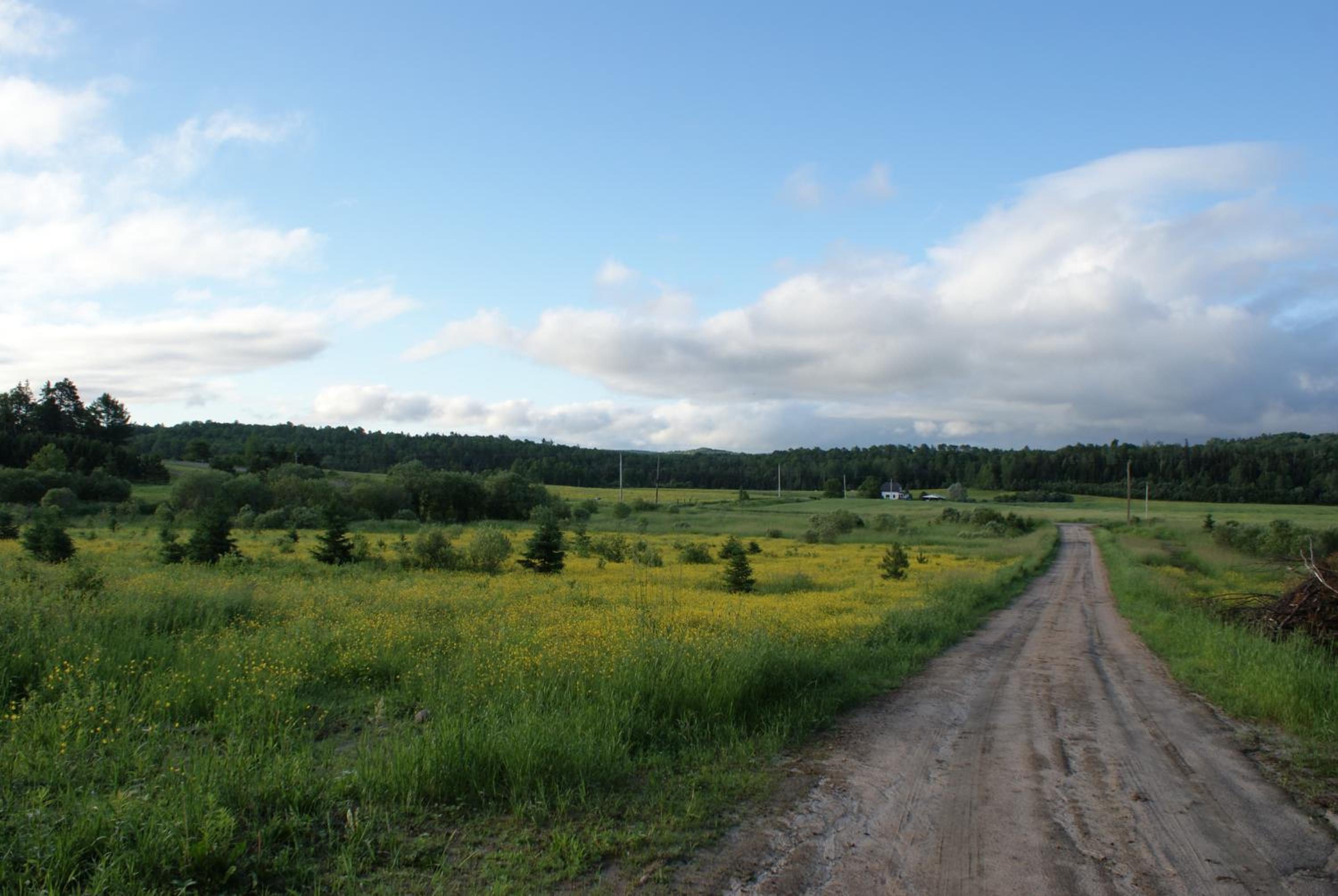 Top of Algonquin Bed and Breakfast