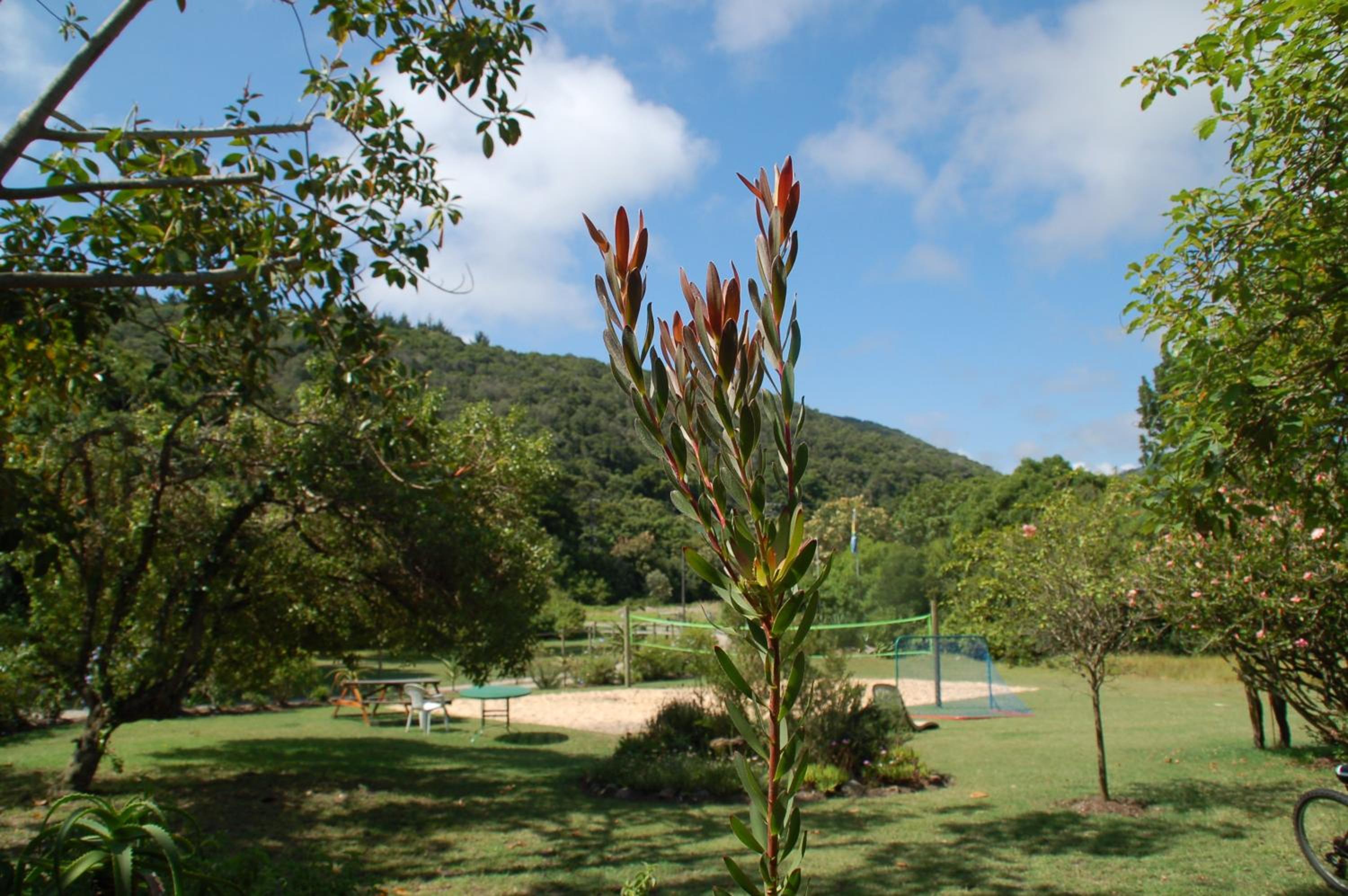 Fairy Knowe Backpackers Lodge