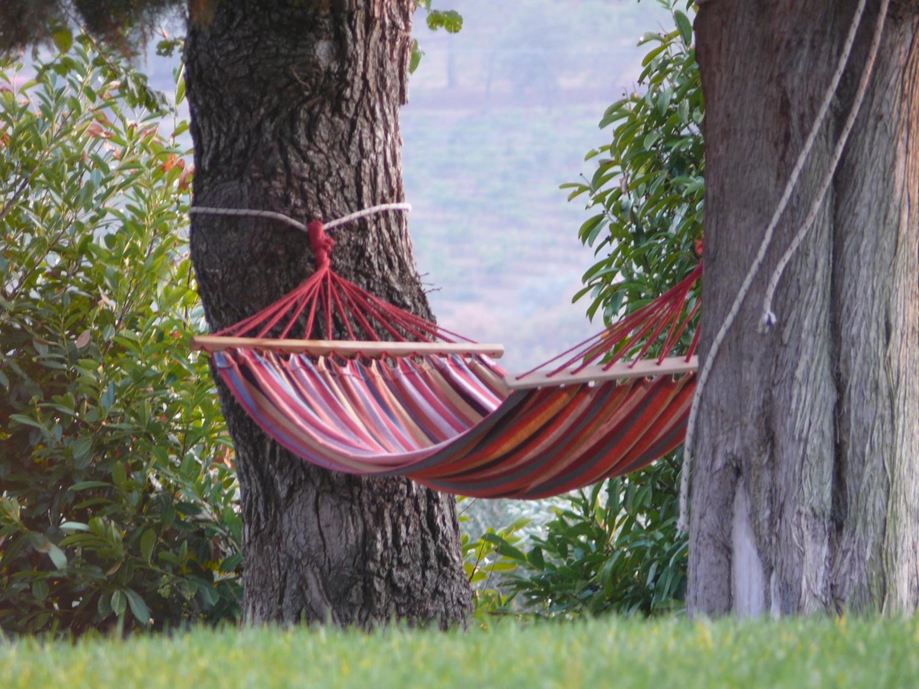 Agriturismo Poggio del Pero
