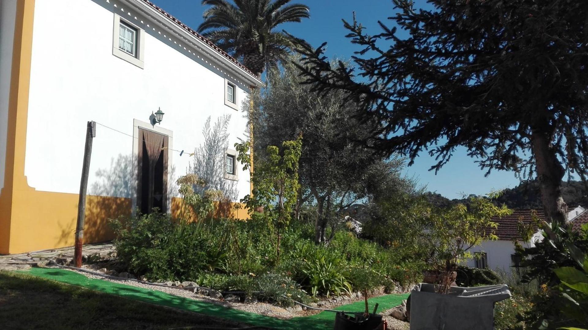 Casa da Palmeira view 5