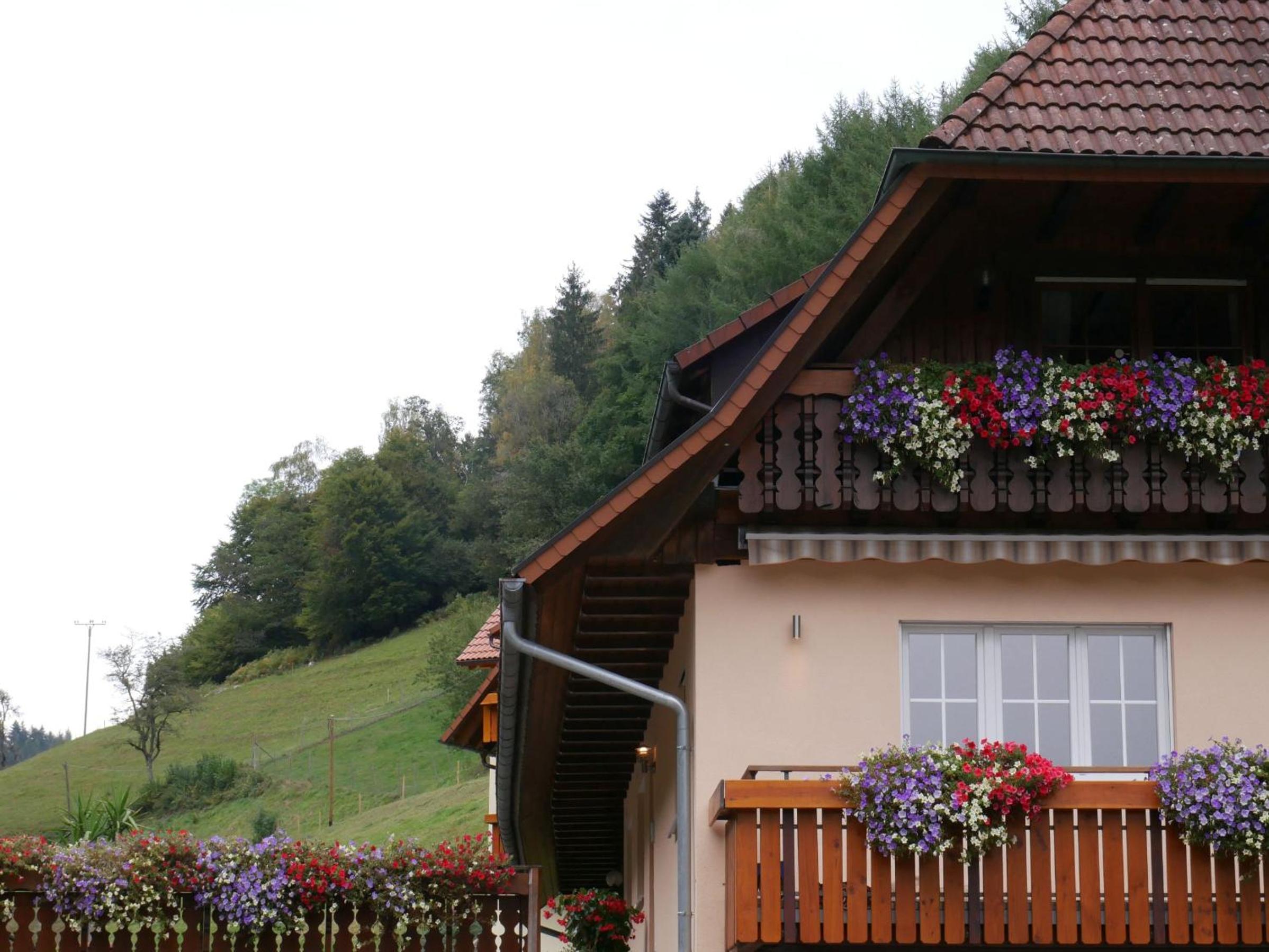 Ferienwohnung Eulennest