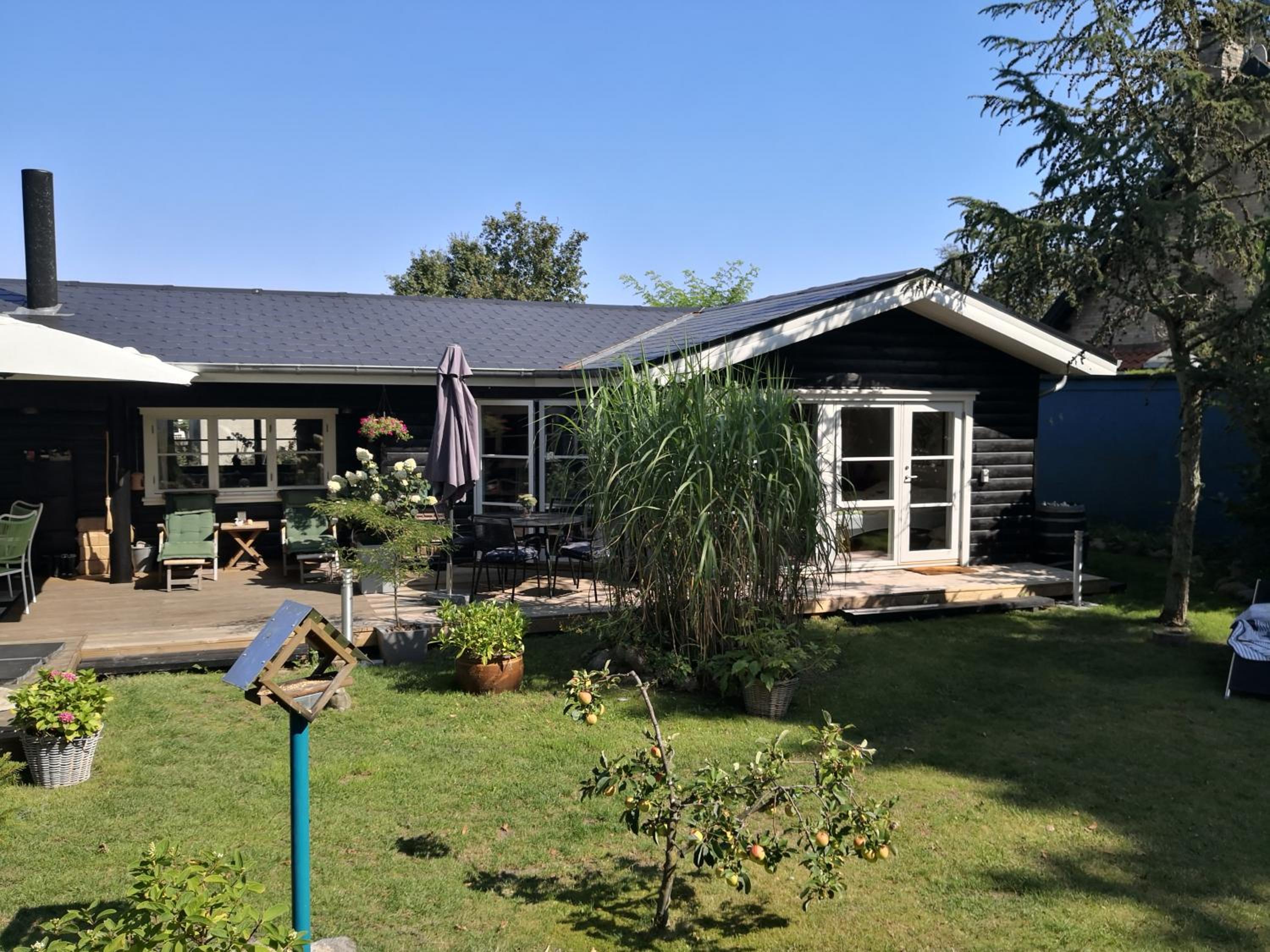 Spurvereden ved vandet