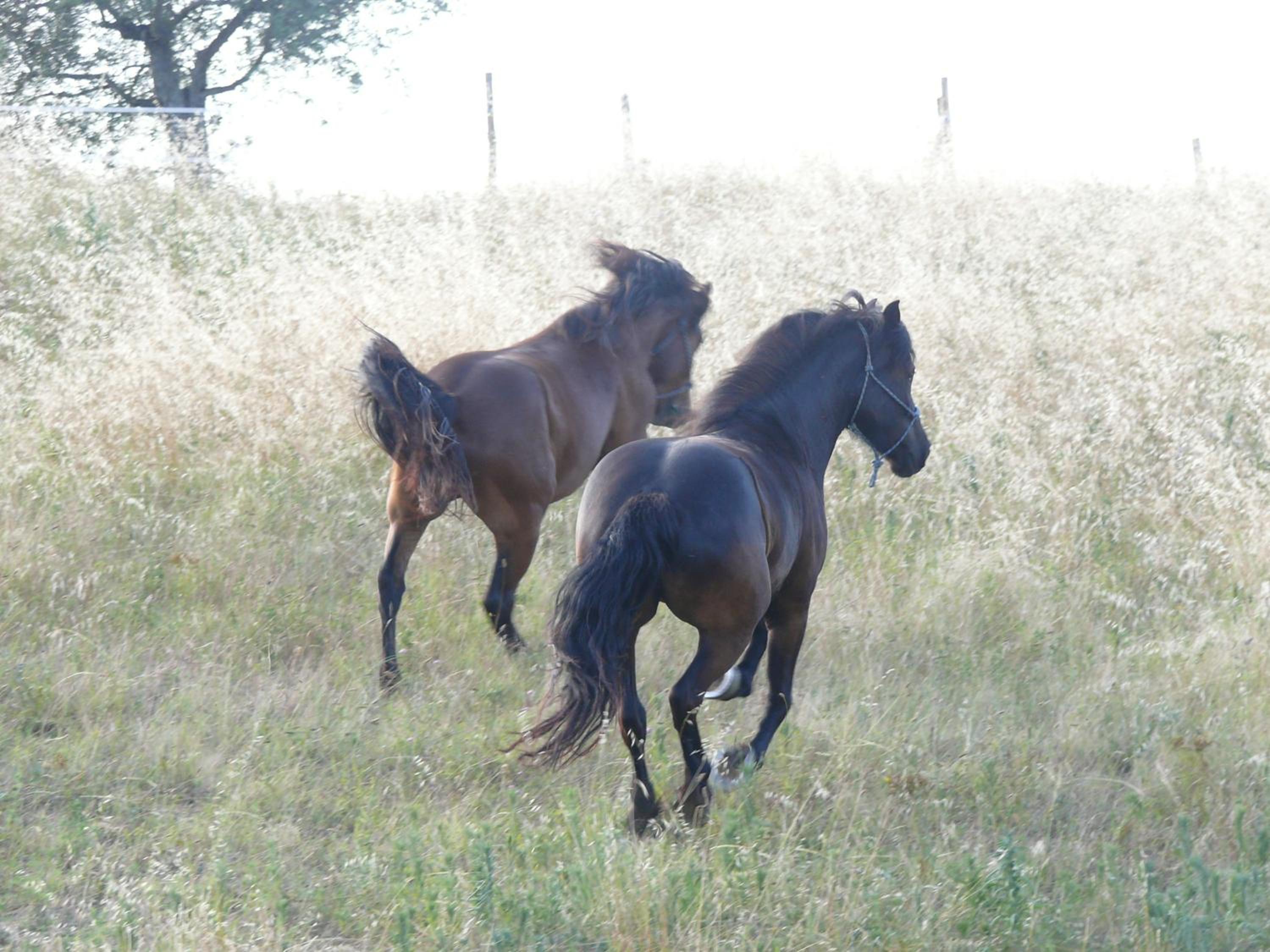 Agriturismo Poggio del Pero