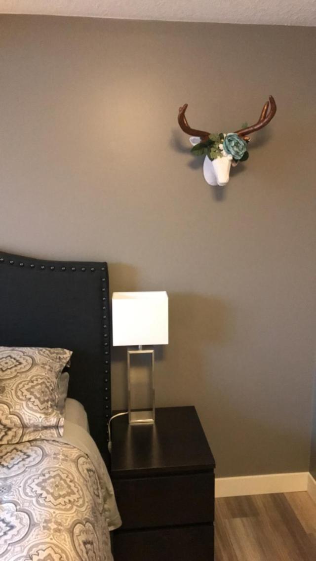 Four Cedars Accommodation