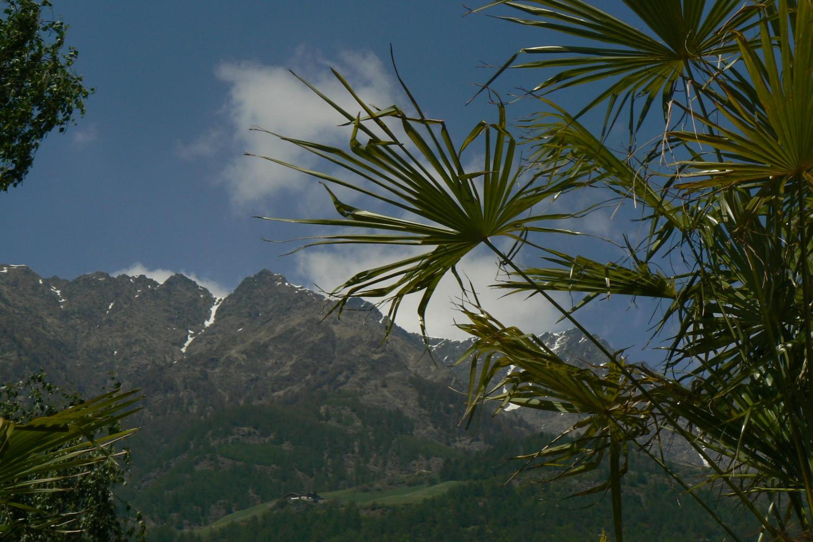 Alpina Residence view 4
