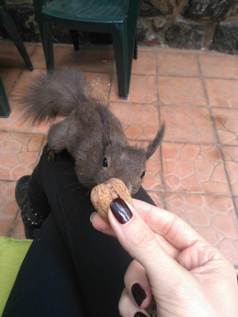 Photo 20