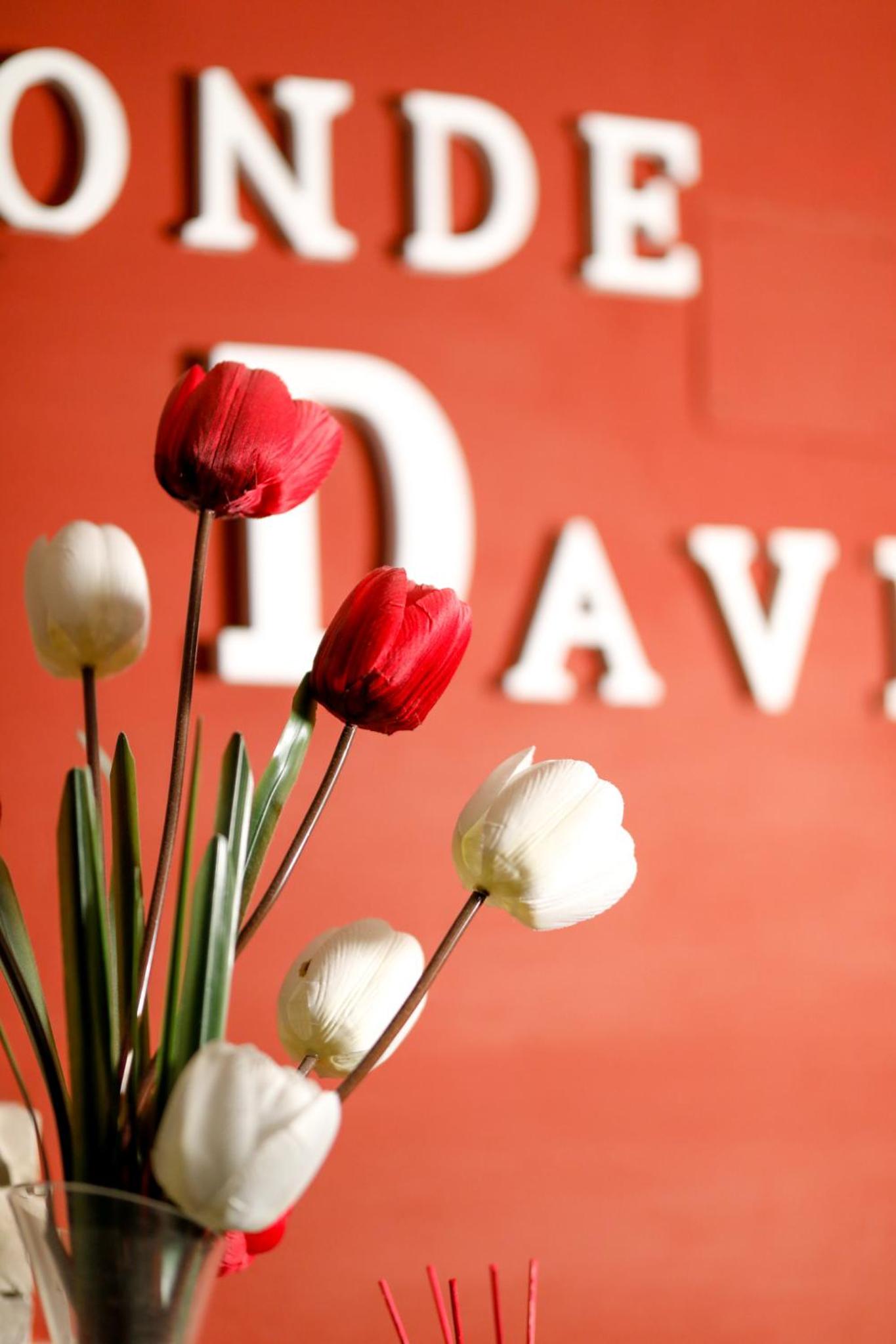 Hostal Conde David