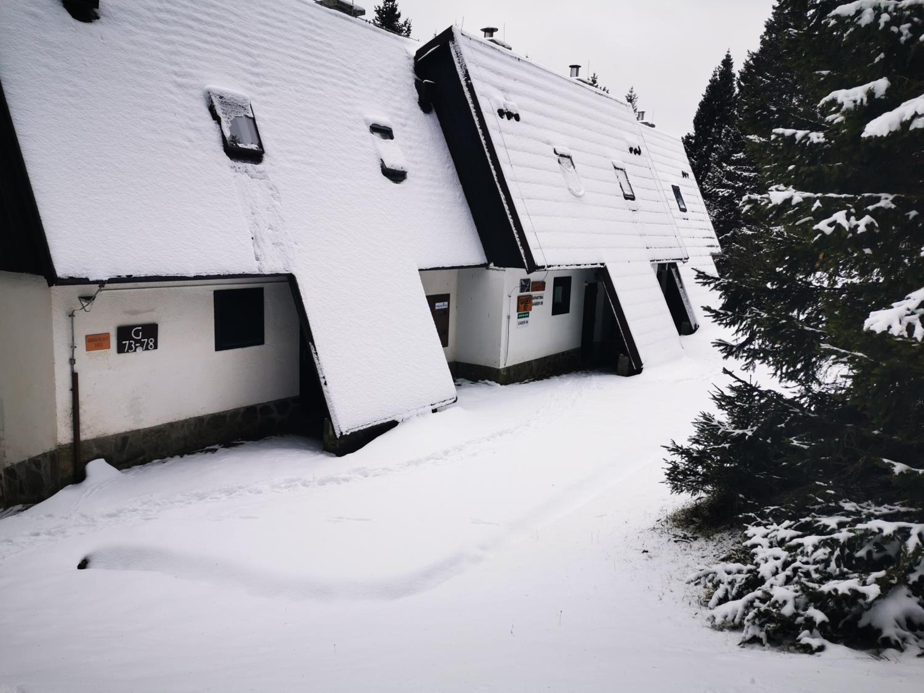 Apartma David Rogla view 2