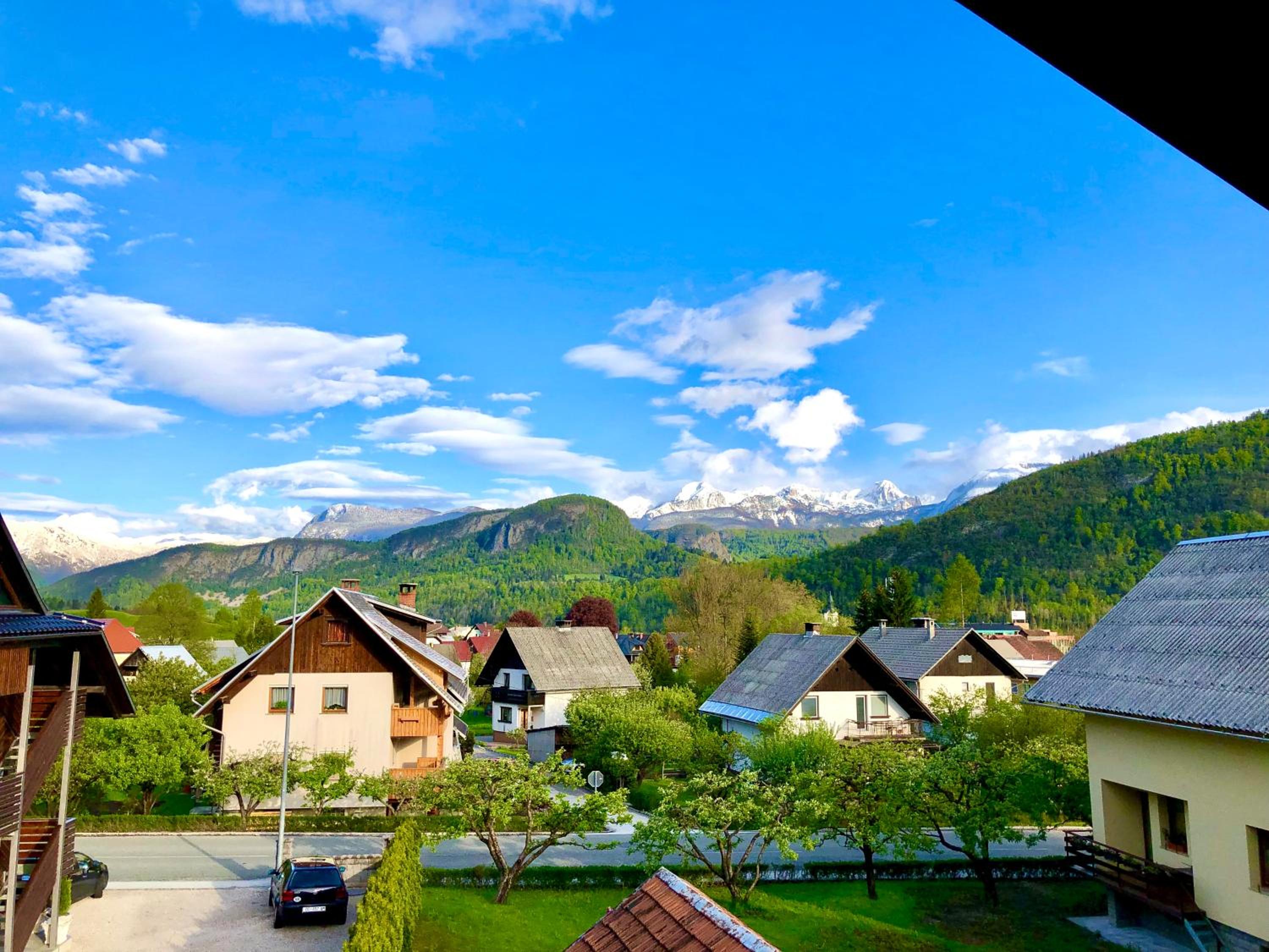 Photo 41