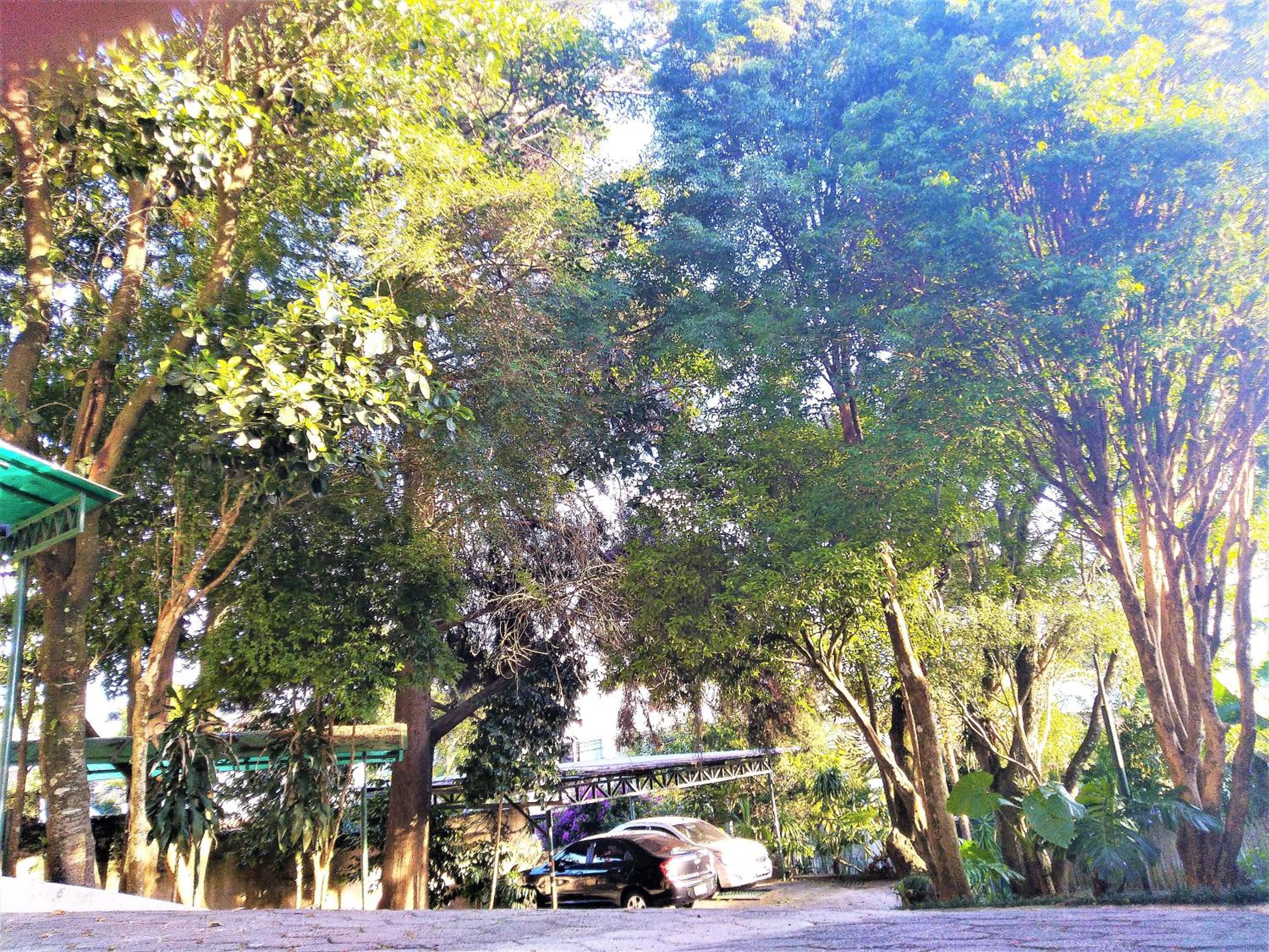 Photo 7