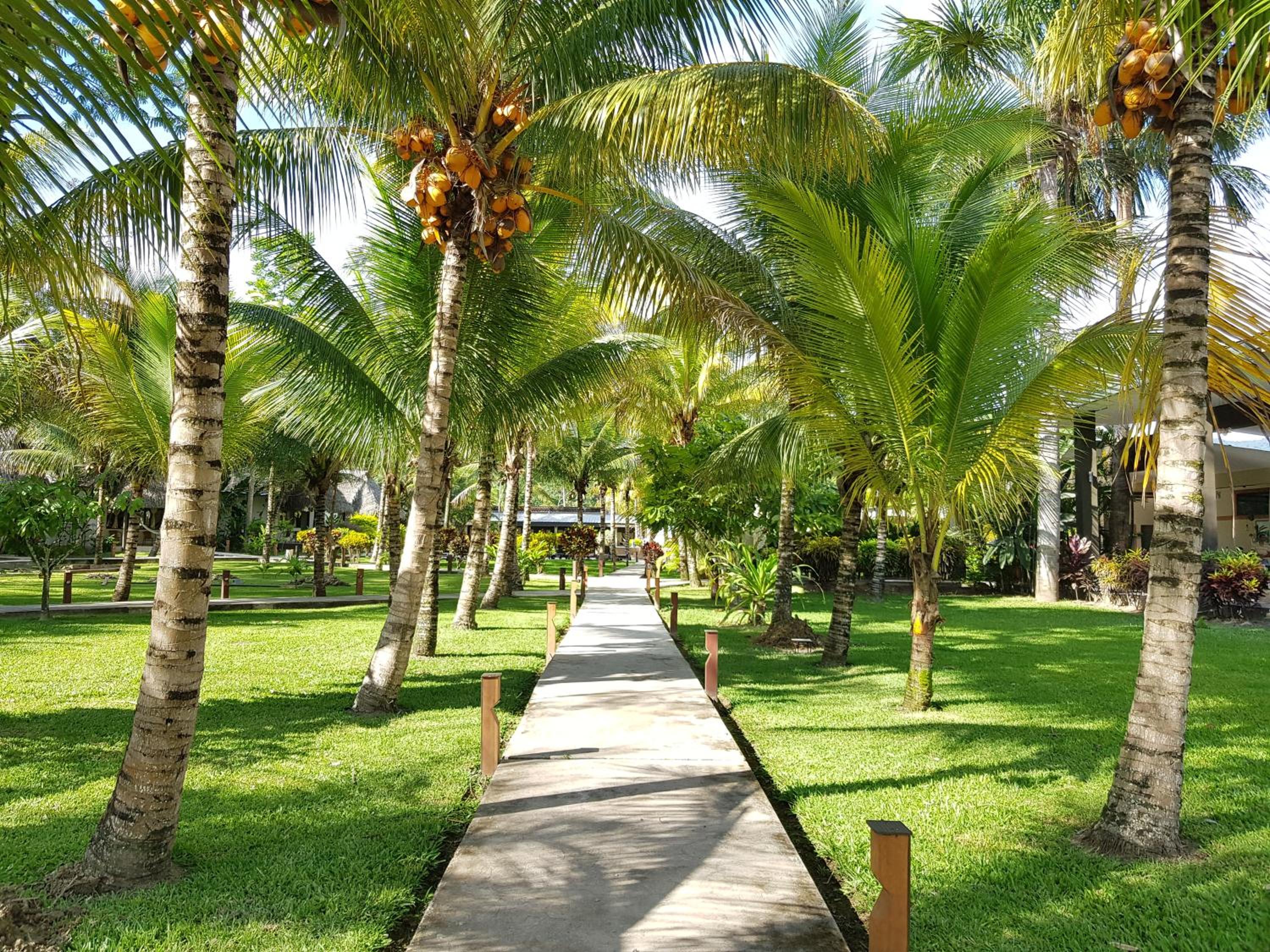 El Sauce Resort