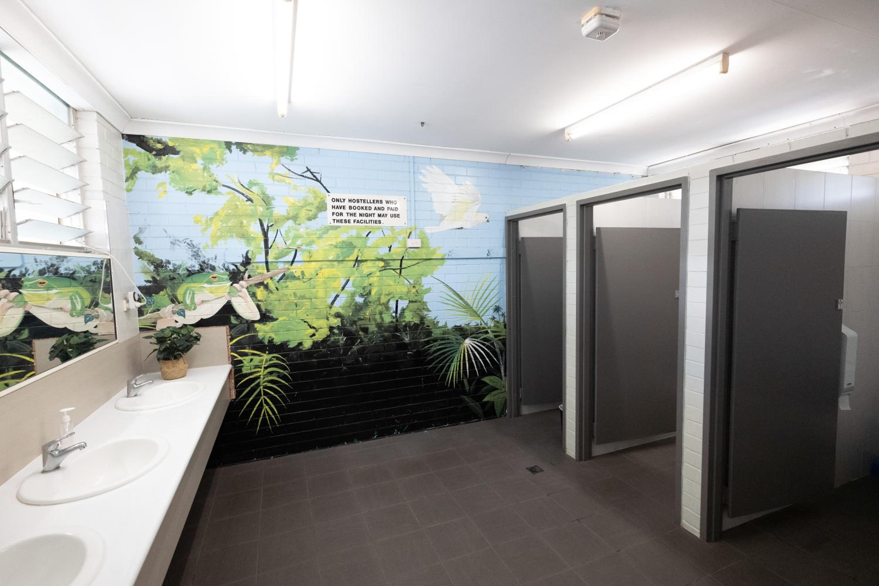 Rockhampton Vacations - Rockhampton Backpackers YHA - Property Image 41
