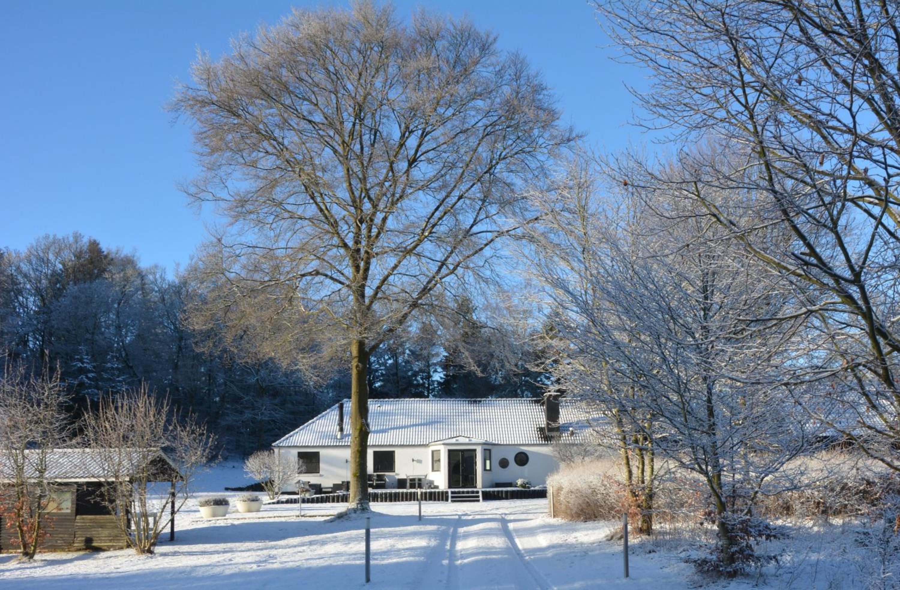 Lillelund bed and breakfast view 3