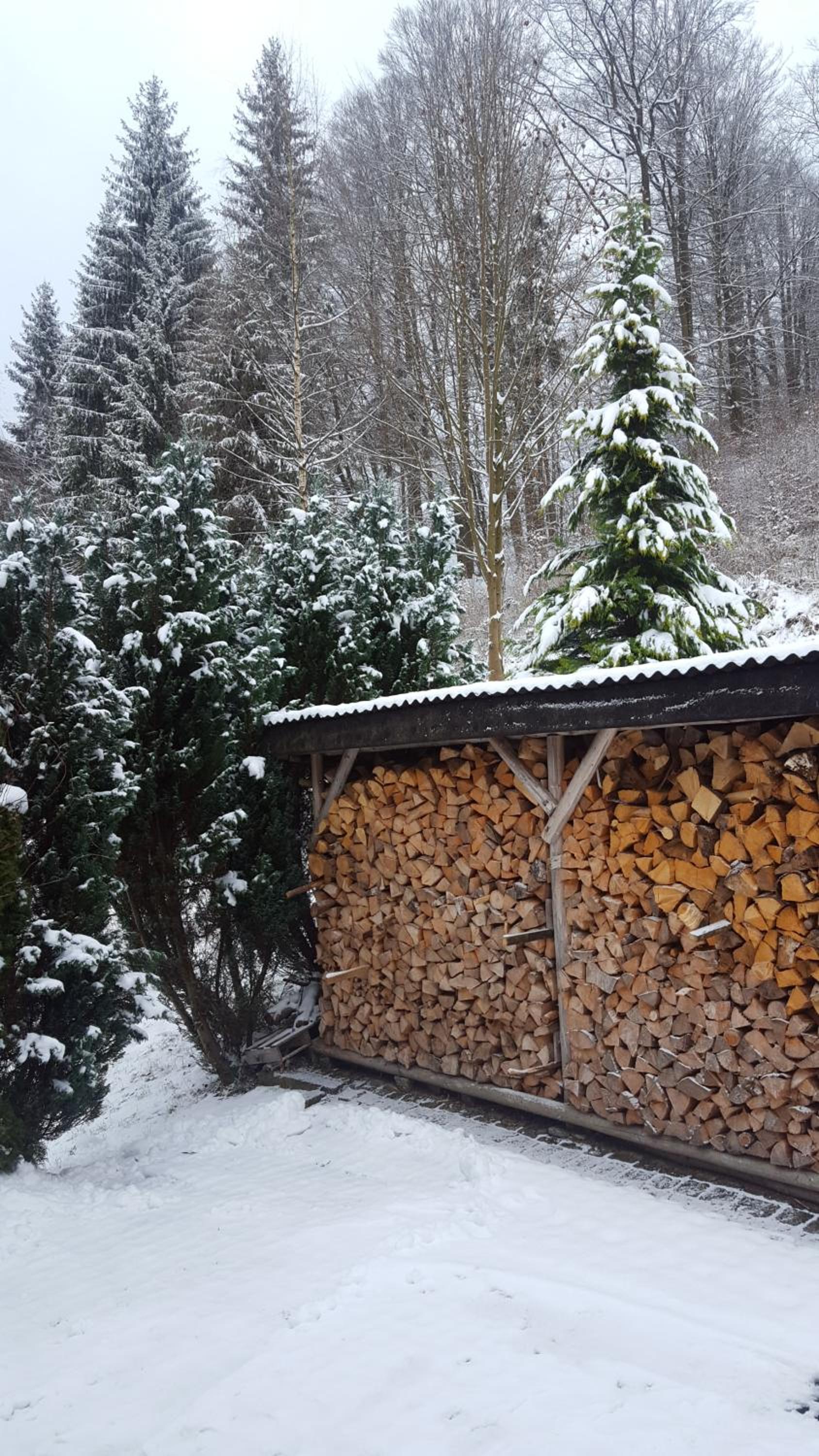 Monteur- und Ferienwohnung Waldrauschen