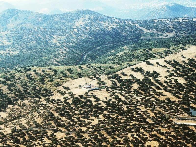 FINCA LAS DEHESILLAS