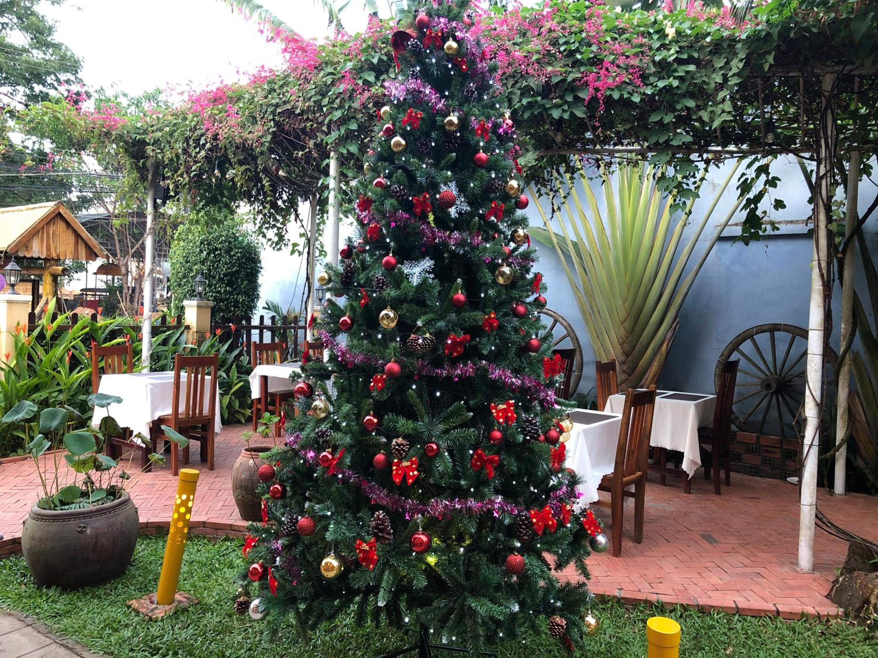 Tropical Garden Phu Quoc