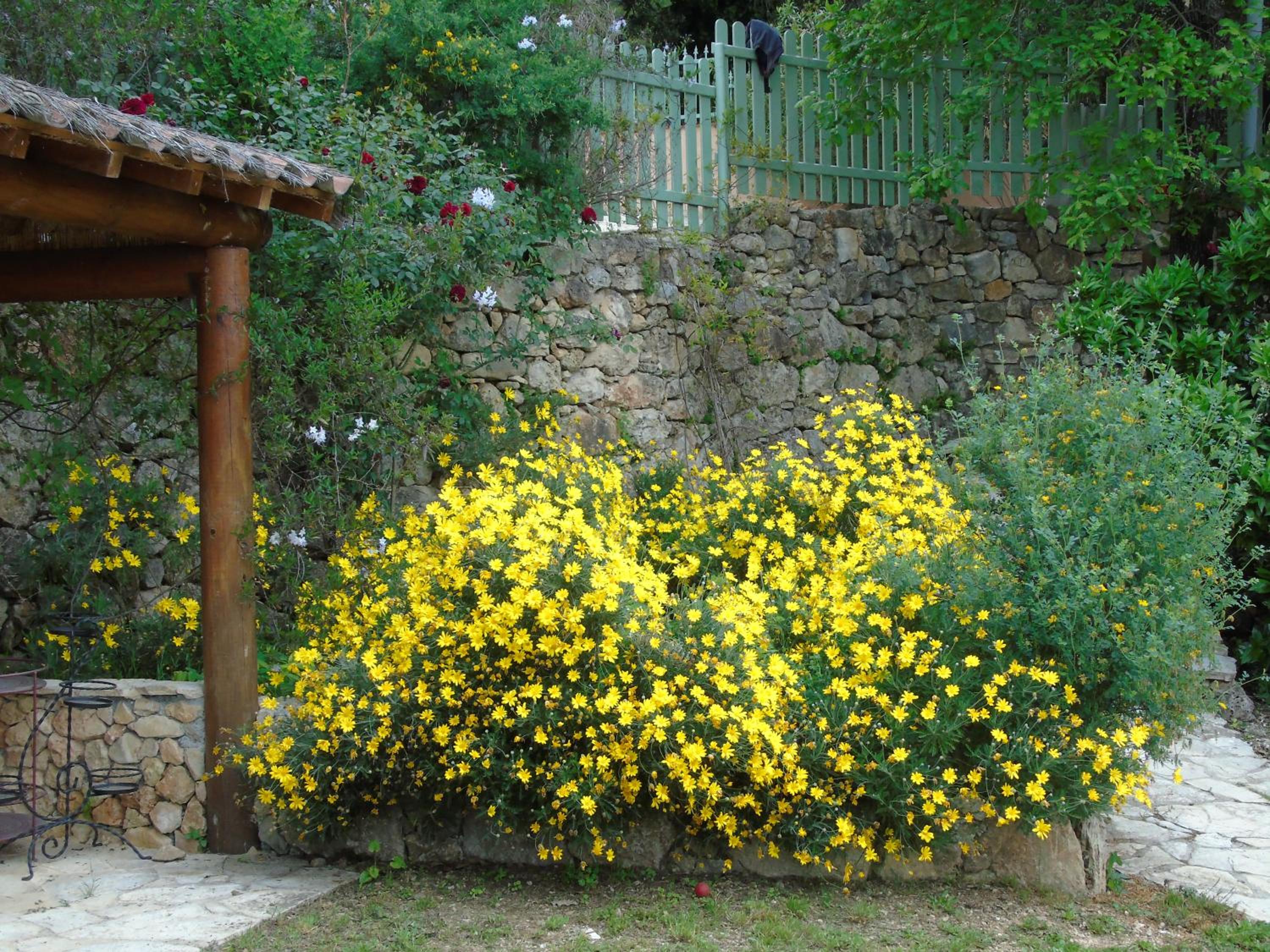 Mas des Citronniers view 3