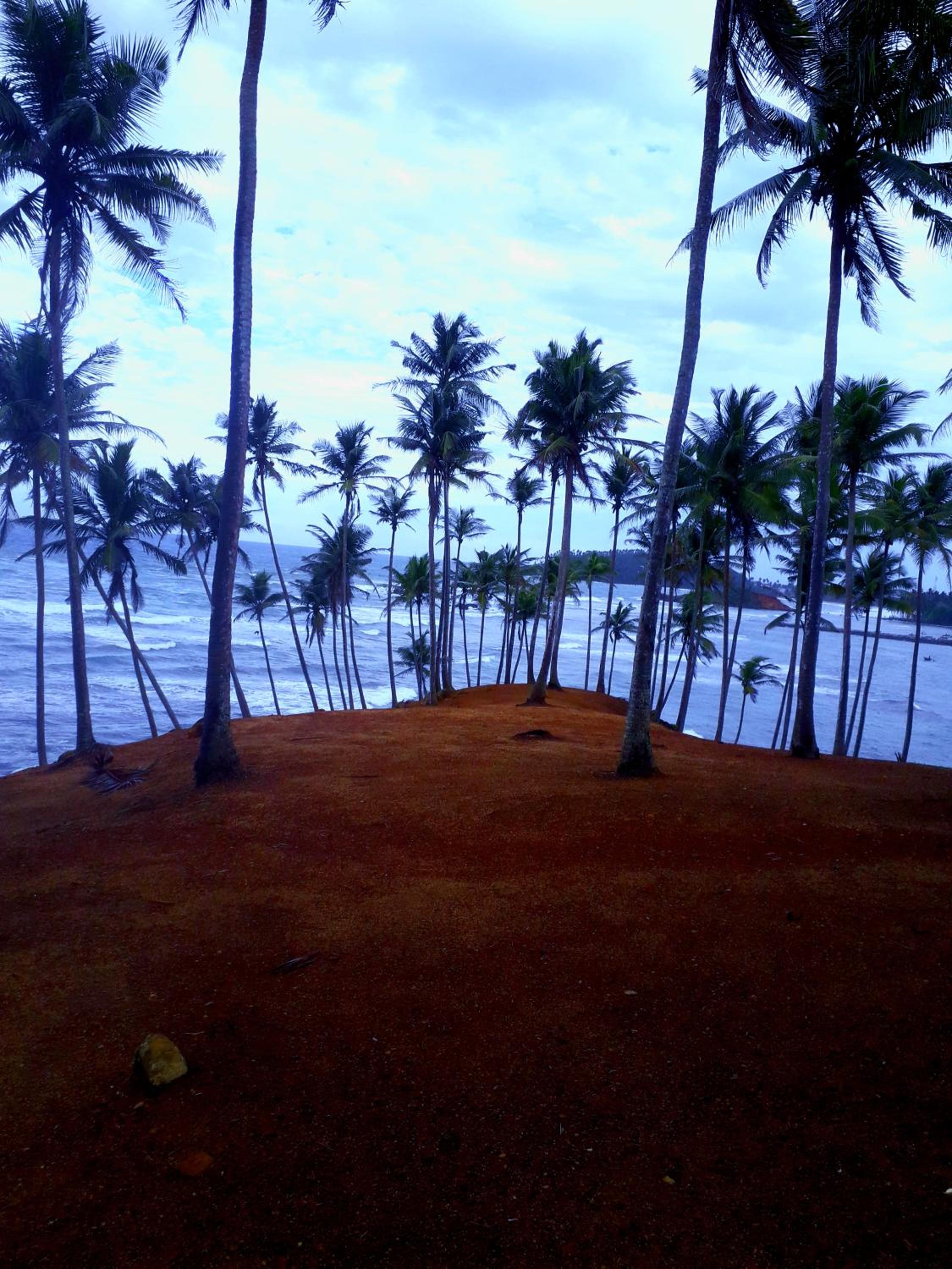 Margosa Guesthouse view 5