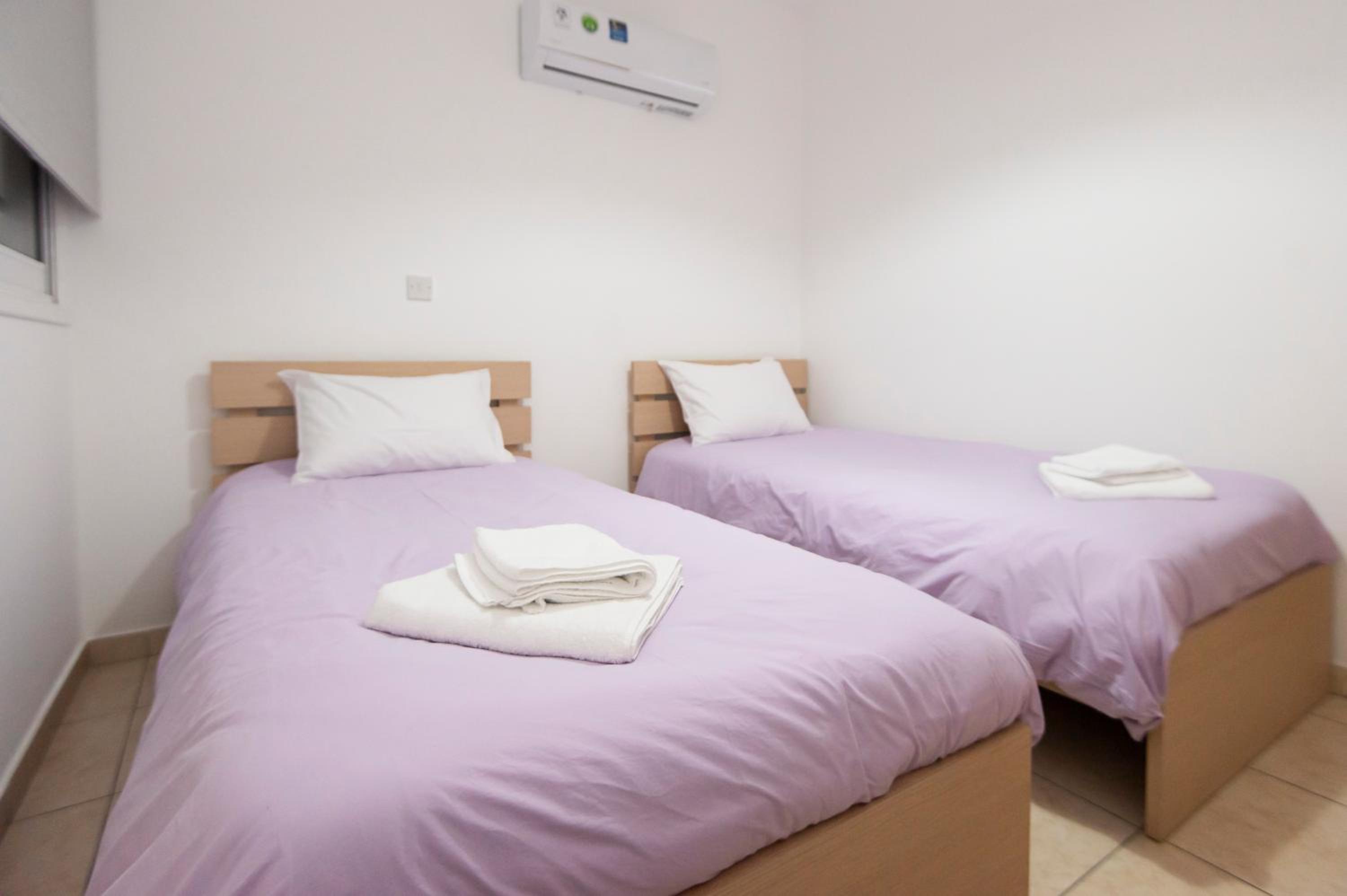 Viola flat 303 view 2