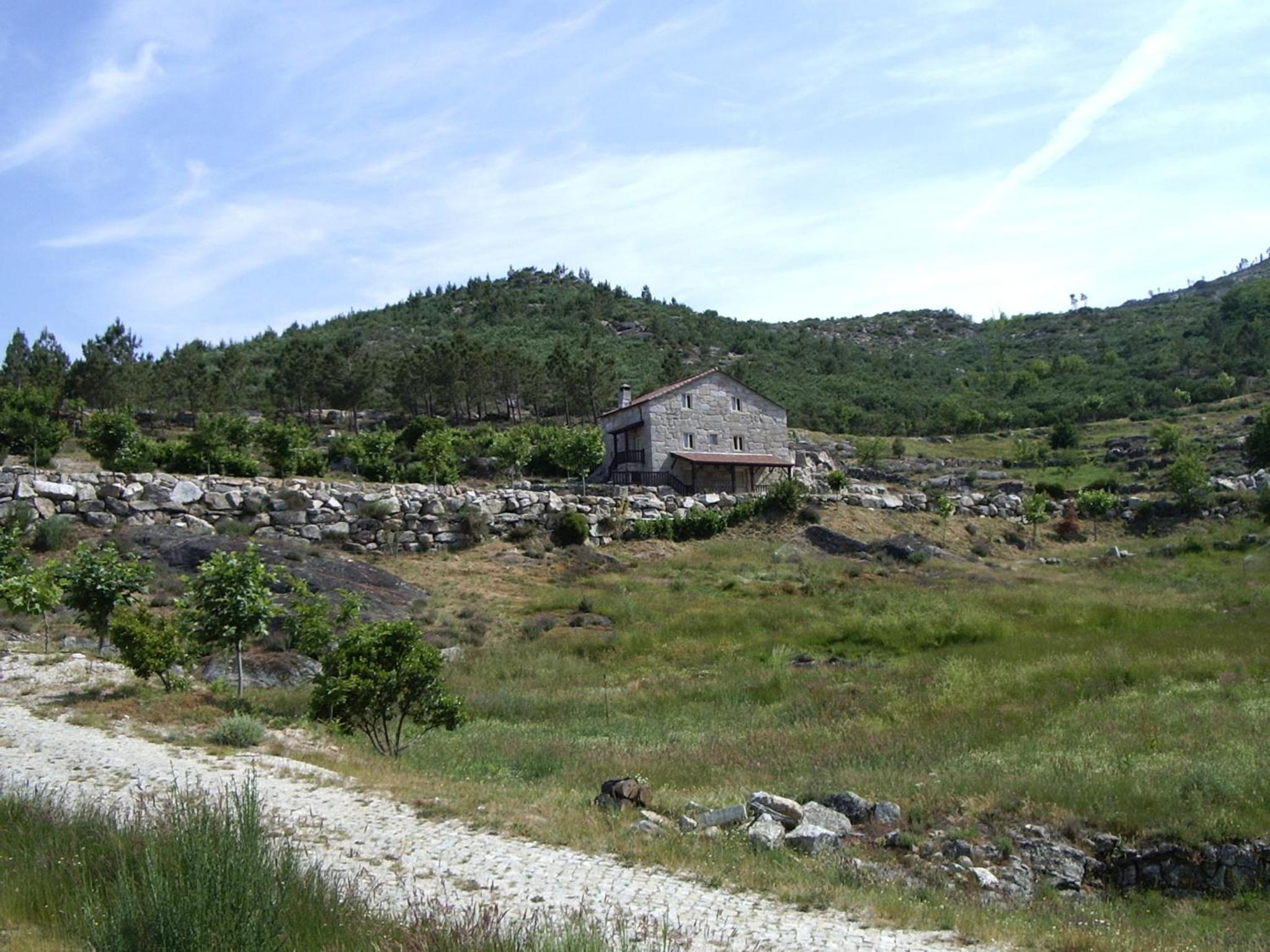 Photo 46